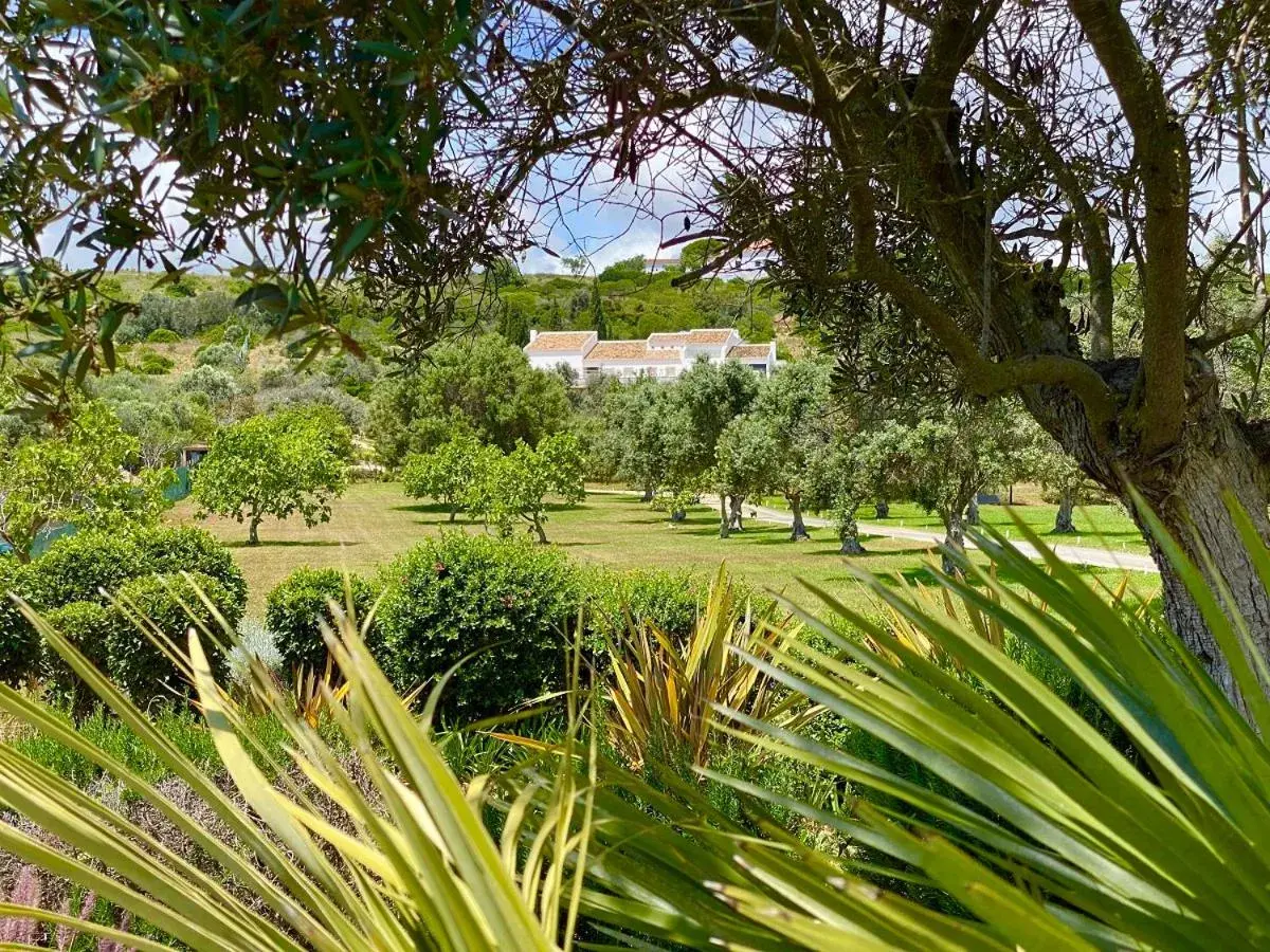 Garden view in Vila Valverde Design Country Hotel Garden view in Vila Valverde Design Country Hotel