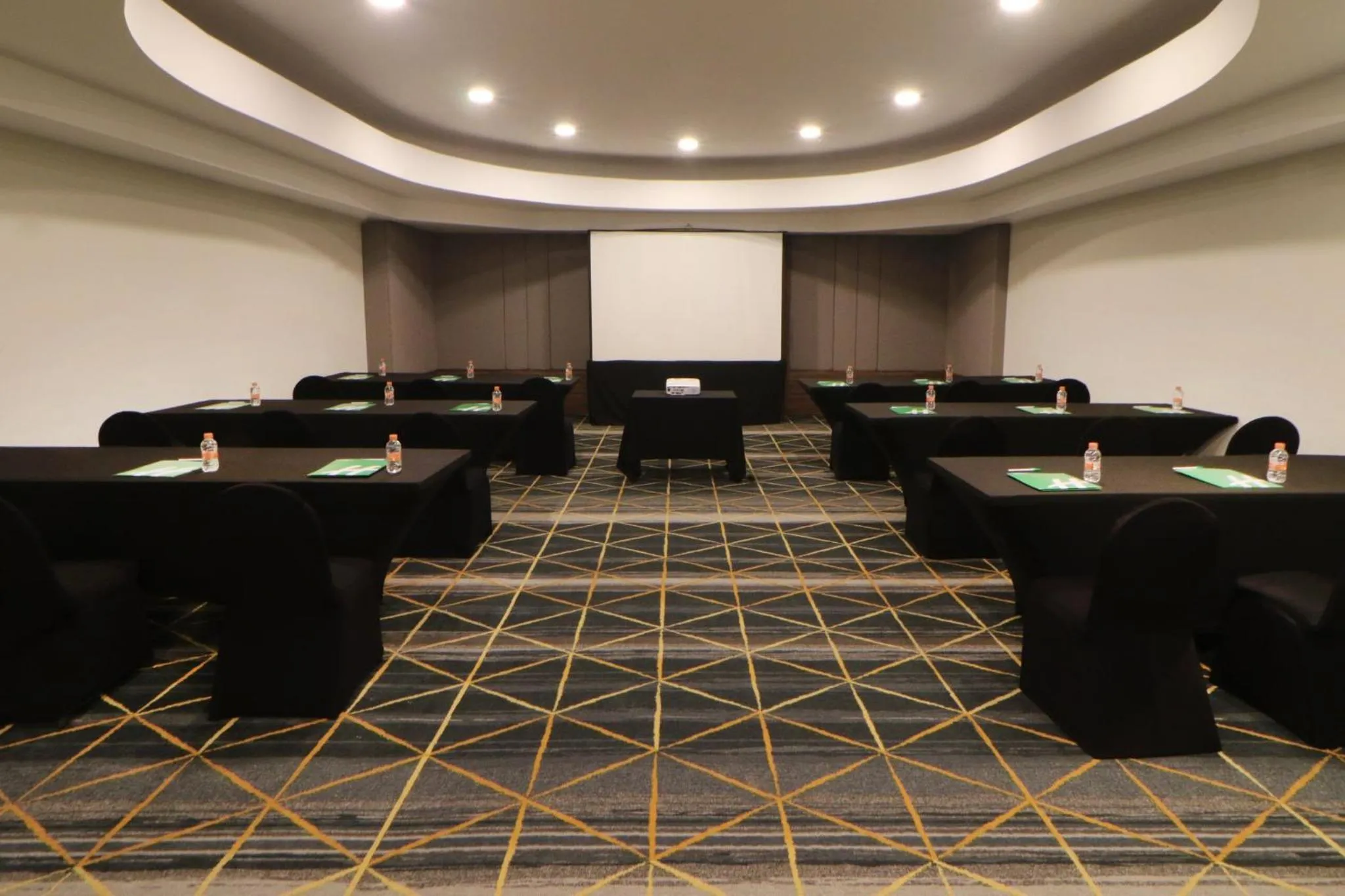 Meeting/conference room in Holiday Inn Tijuana Zona Rio by IHG