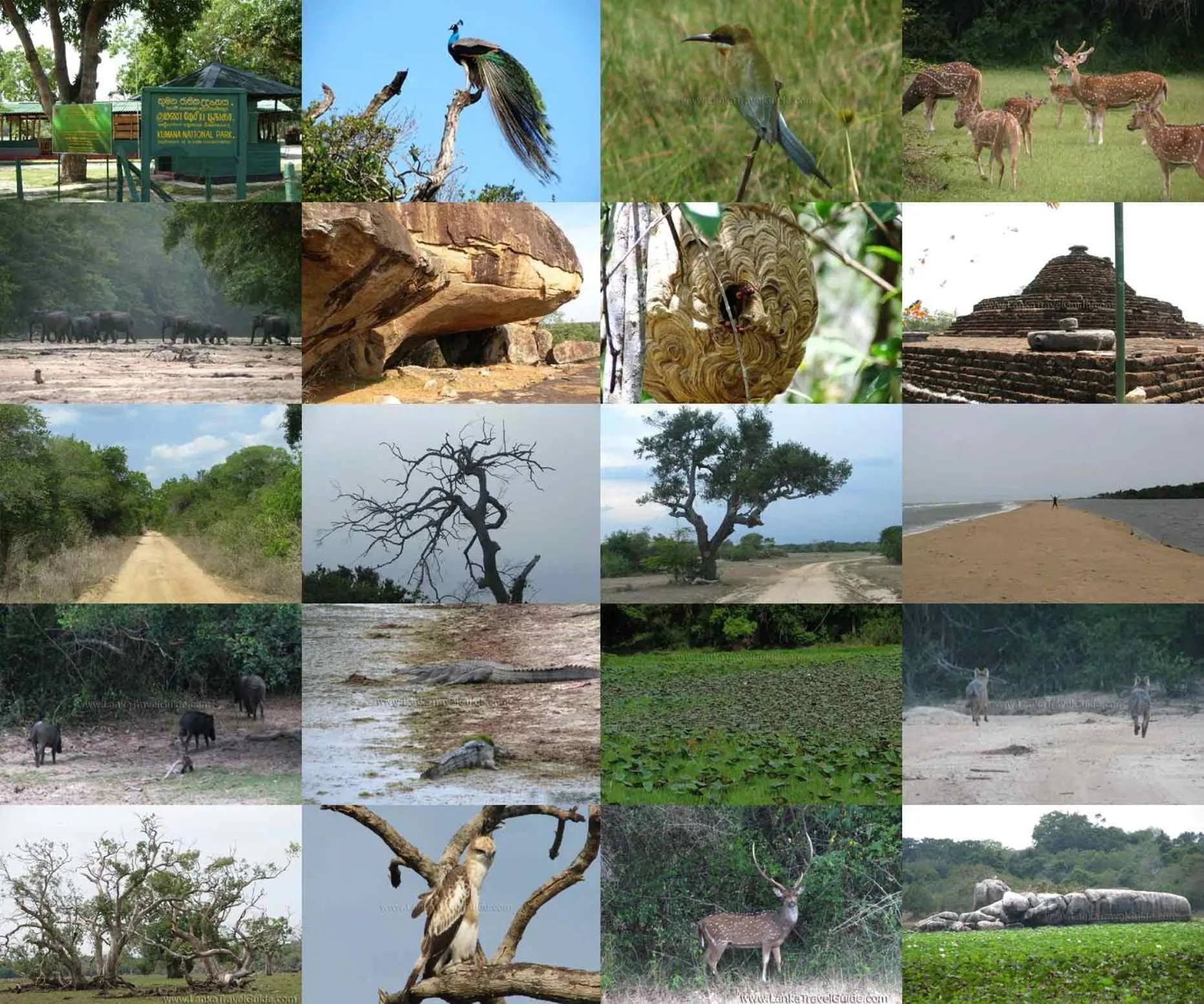 Activities in De Perla Resort