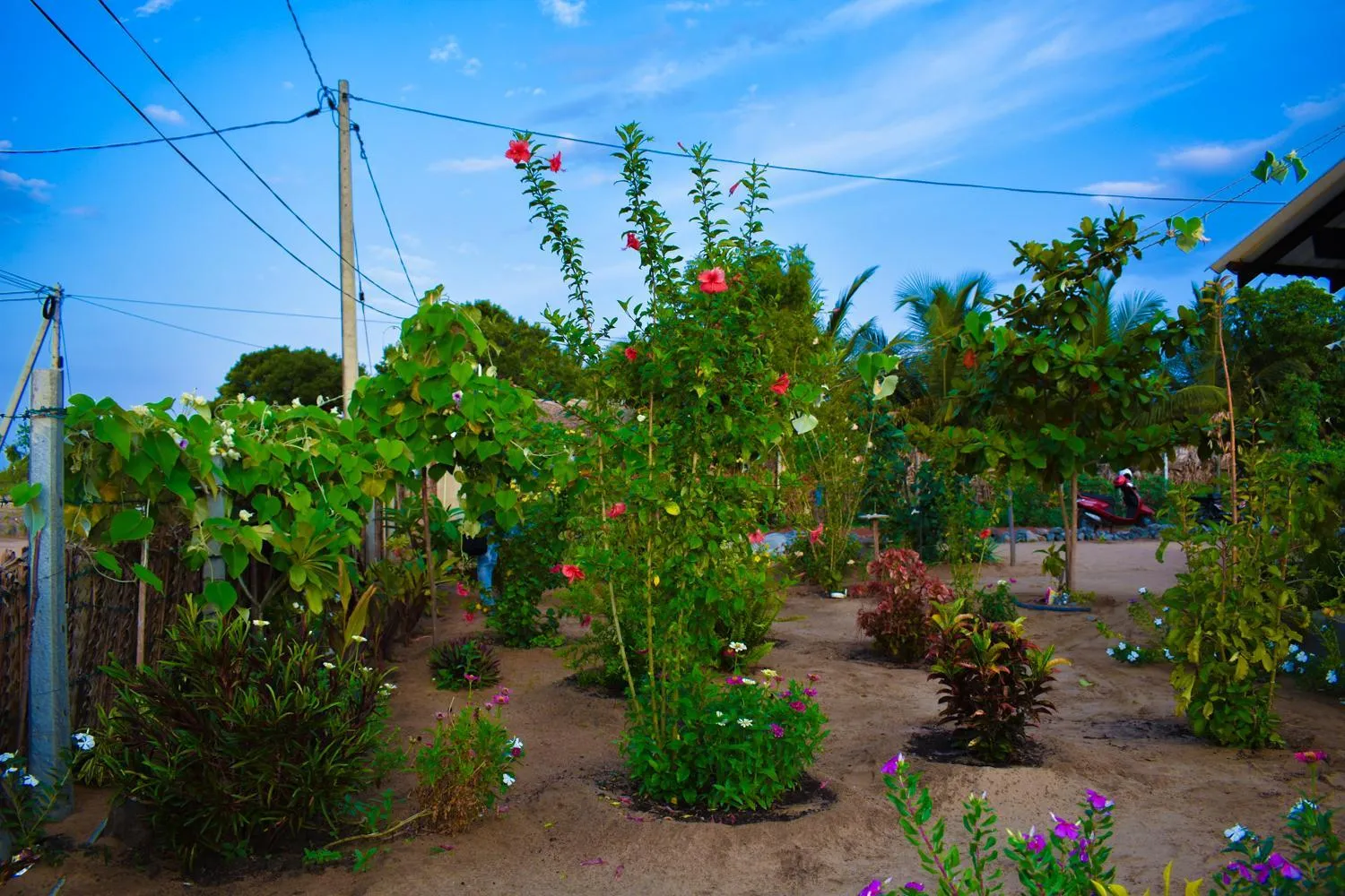 Garden in De Perla Resort