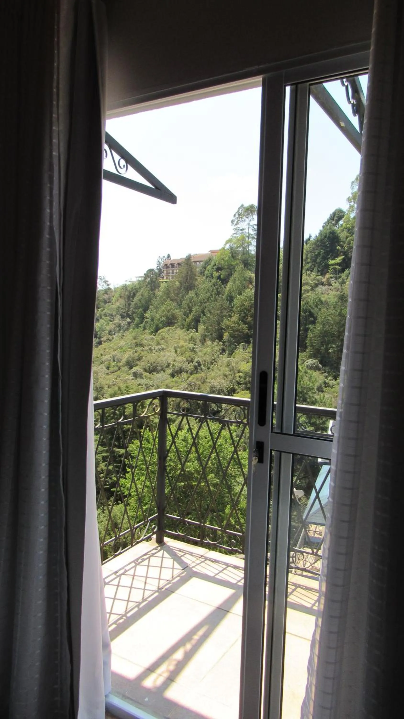 Golden Forest Pousada