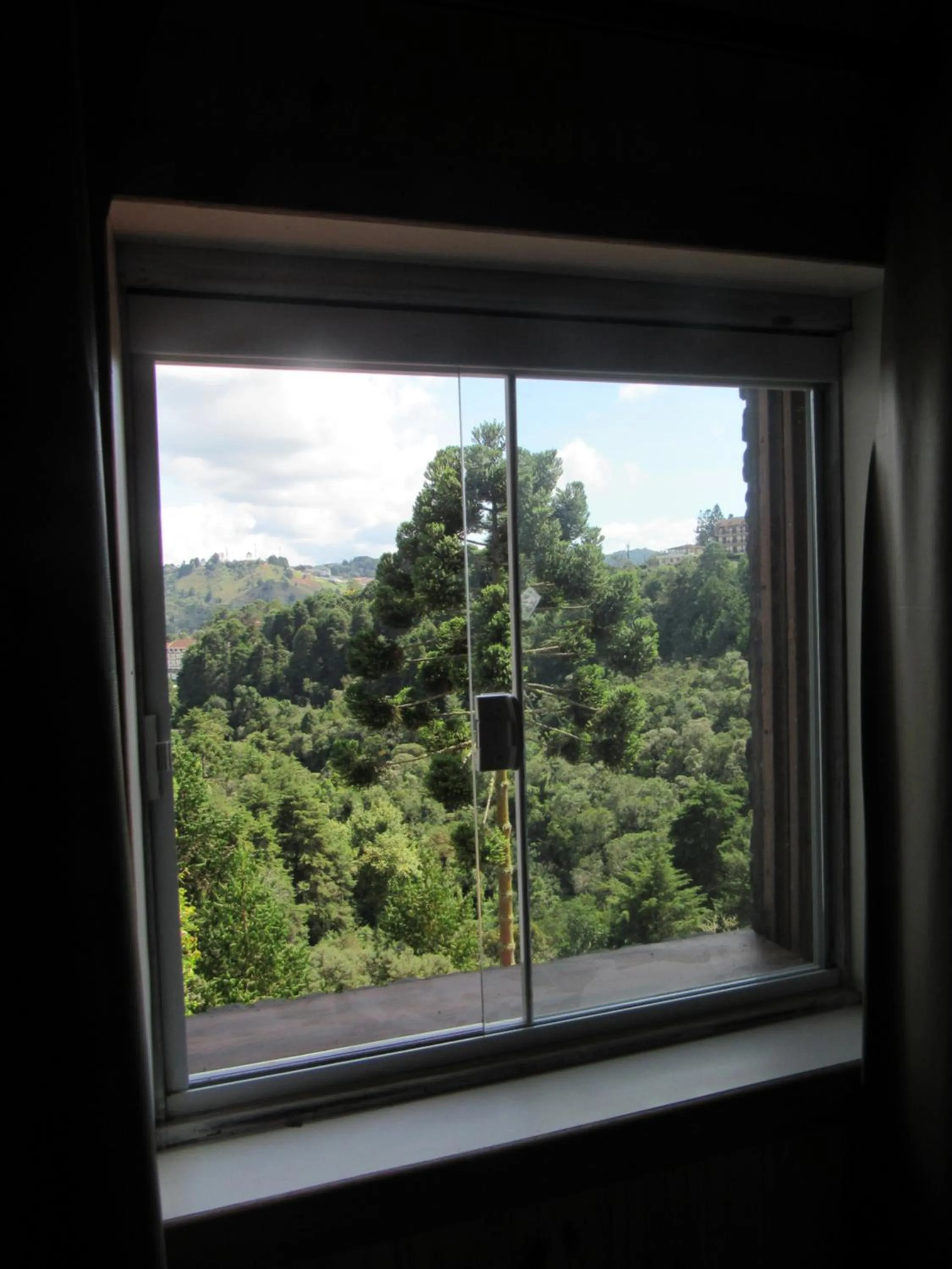 Golden Forest Pousada