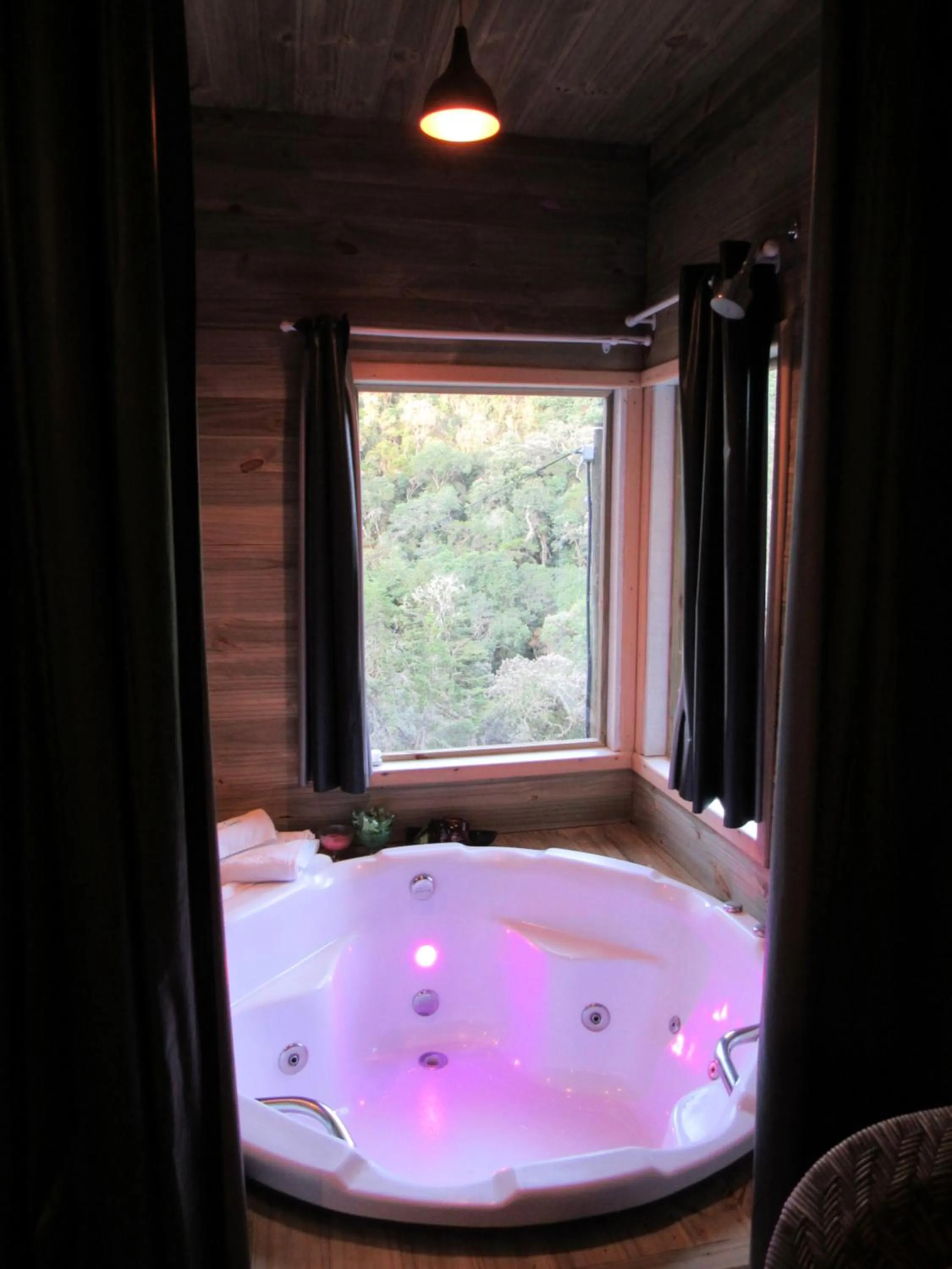 Golden Forest Pousada