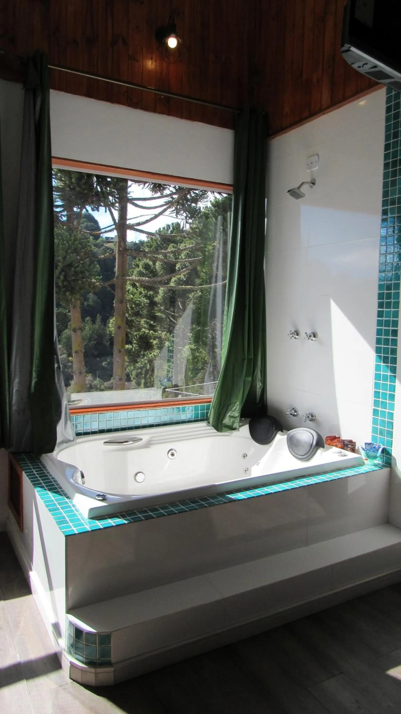 Golden Forest Pousada