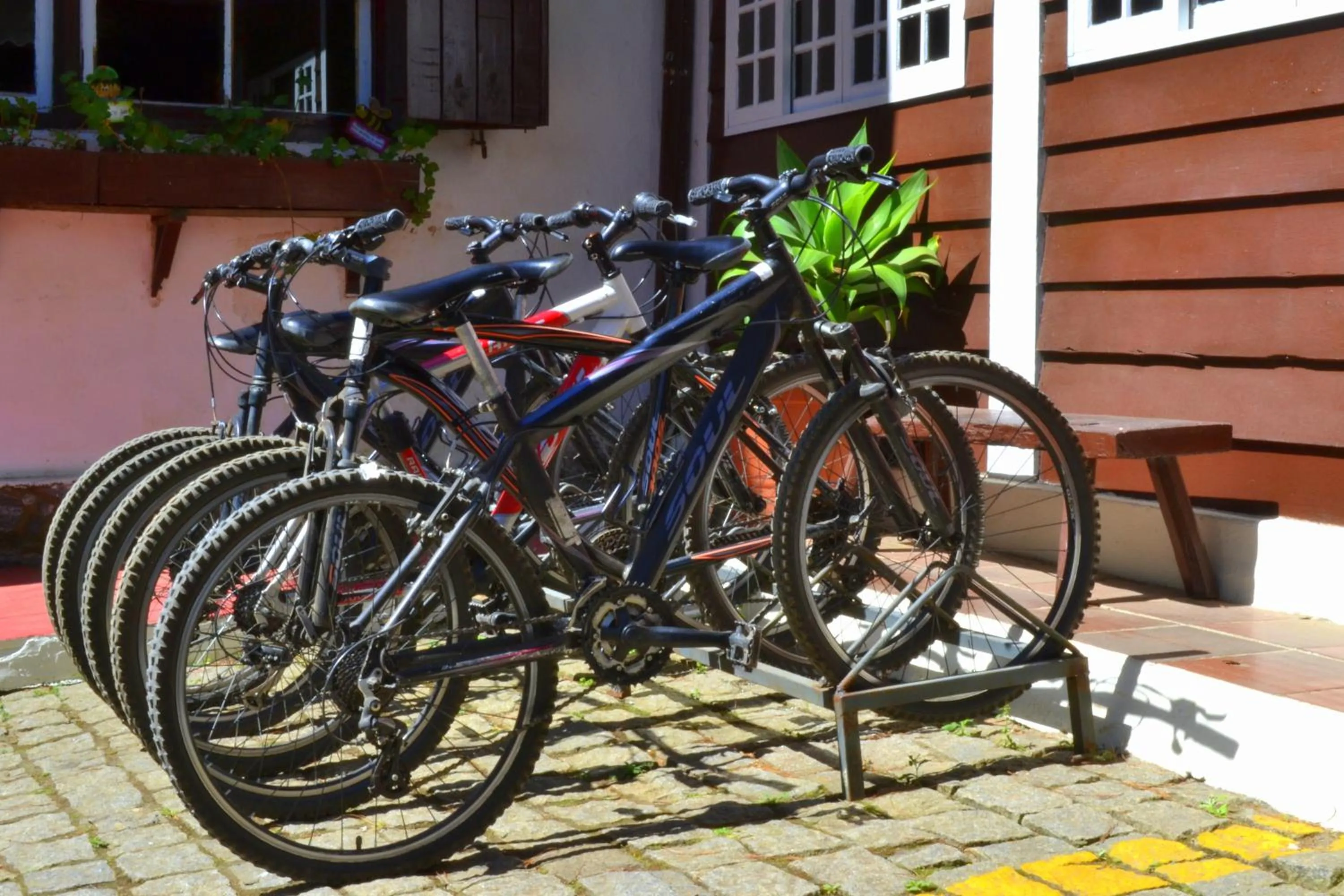 Entertainment in Hotel Refúgio Alpino