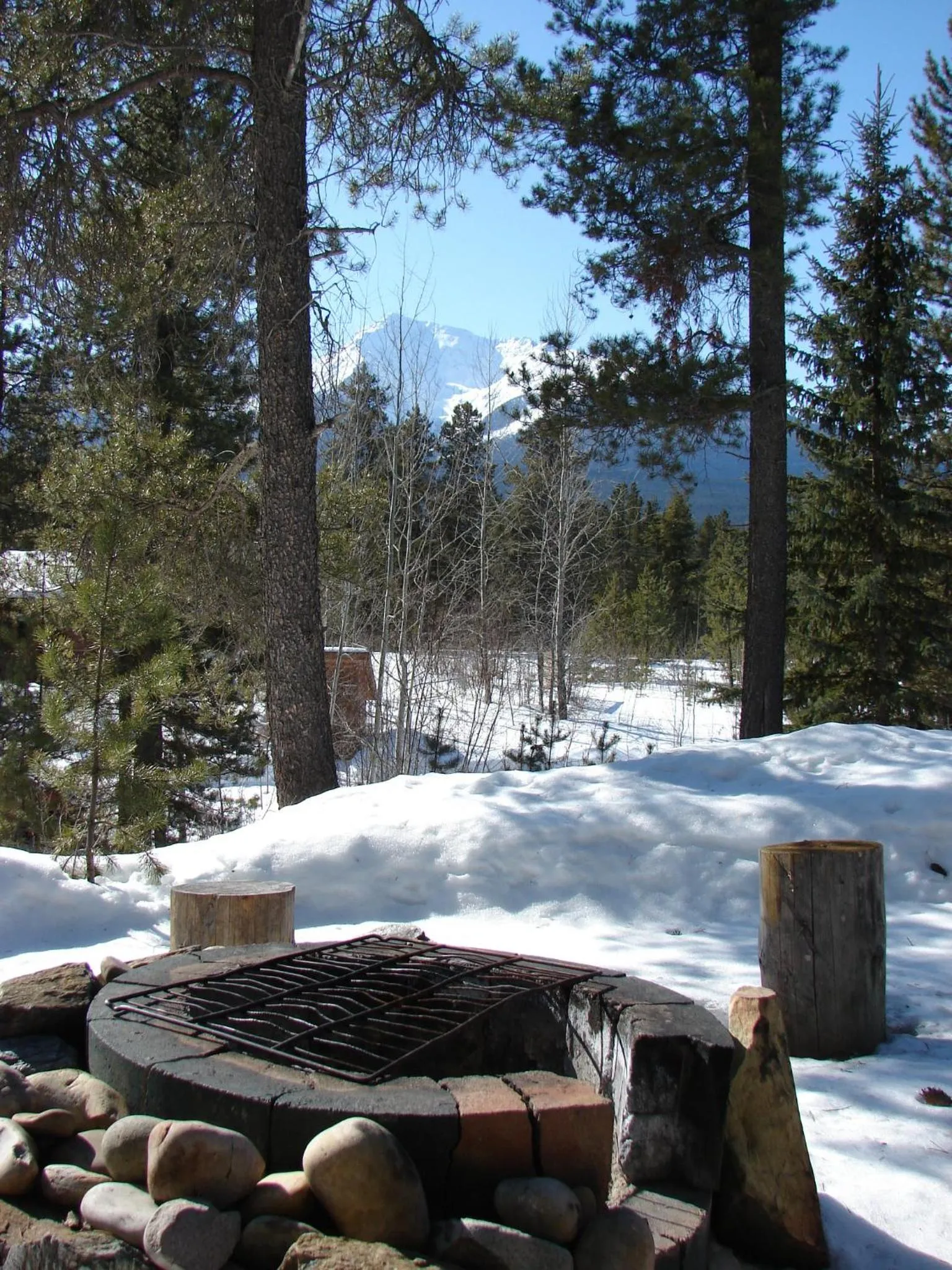 BBQ facilities in Mica Mountain Lodge & Log Cabins