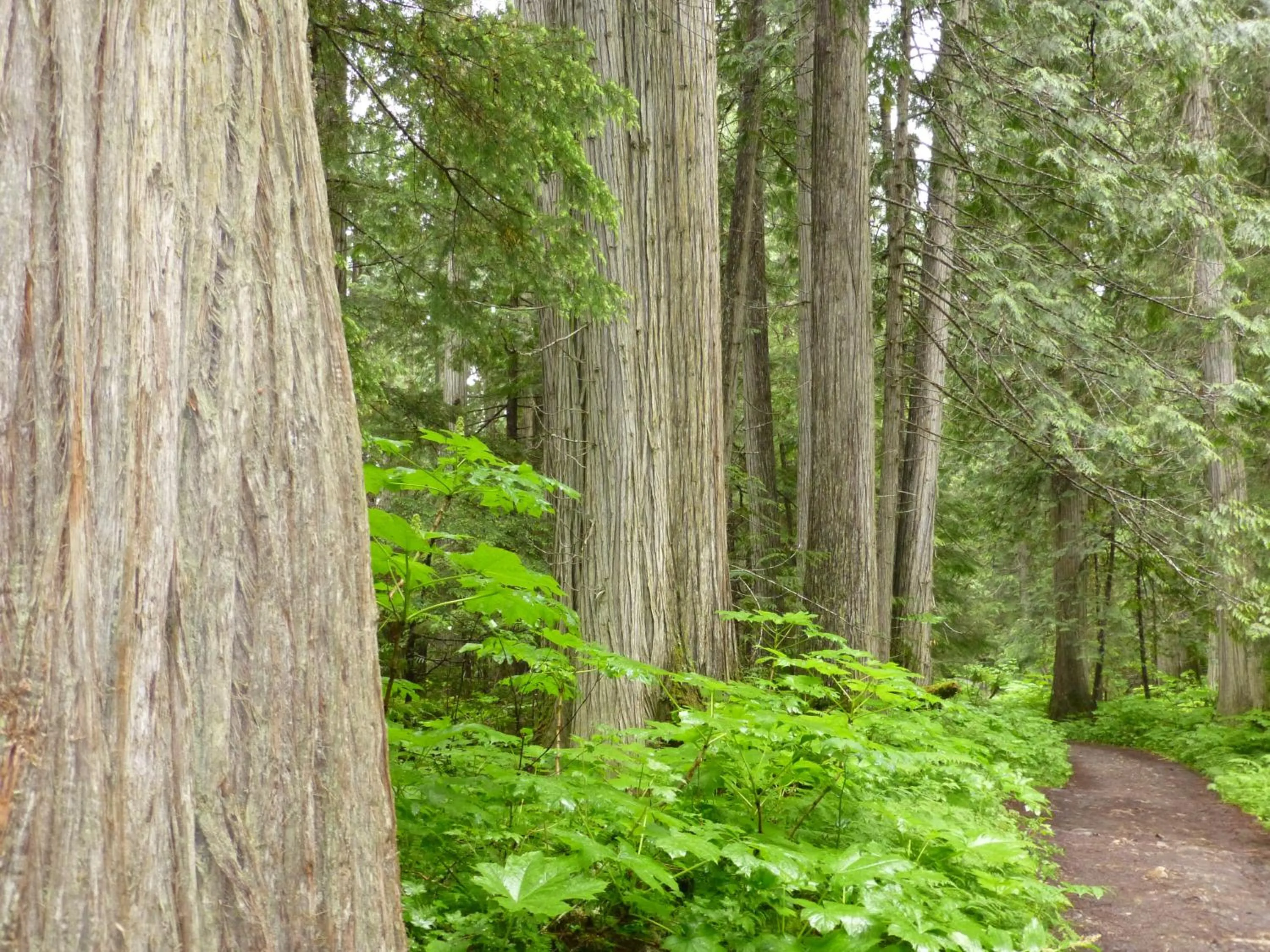 Nearby landmark in Mica Mountain Lodge & Log Cabins
