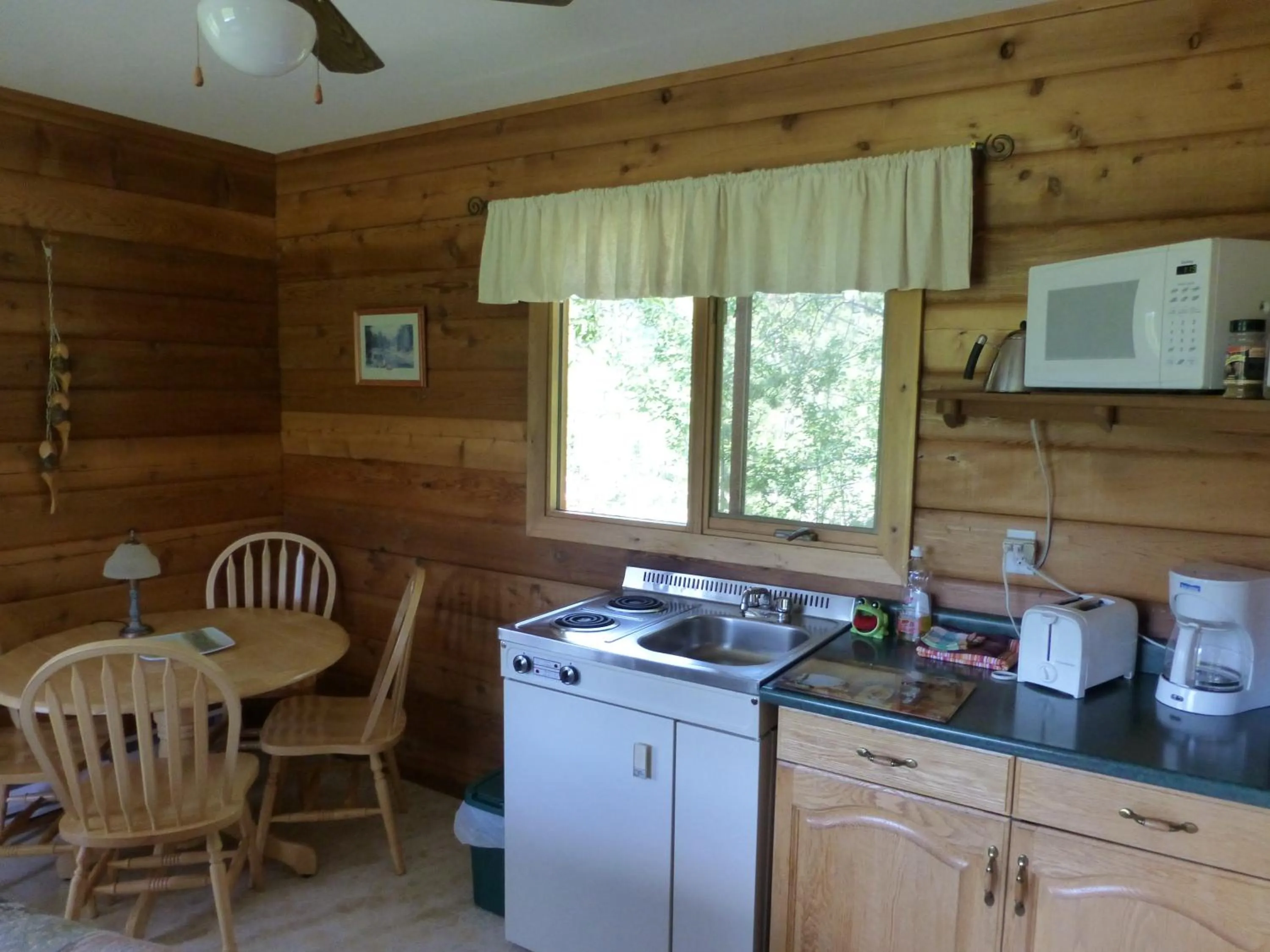 Kitchen or kitchenette in Mica Mountain Lodge & Log Cabins