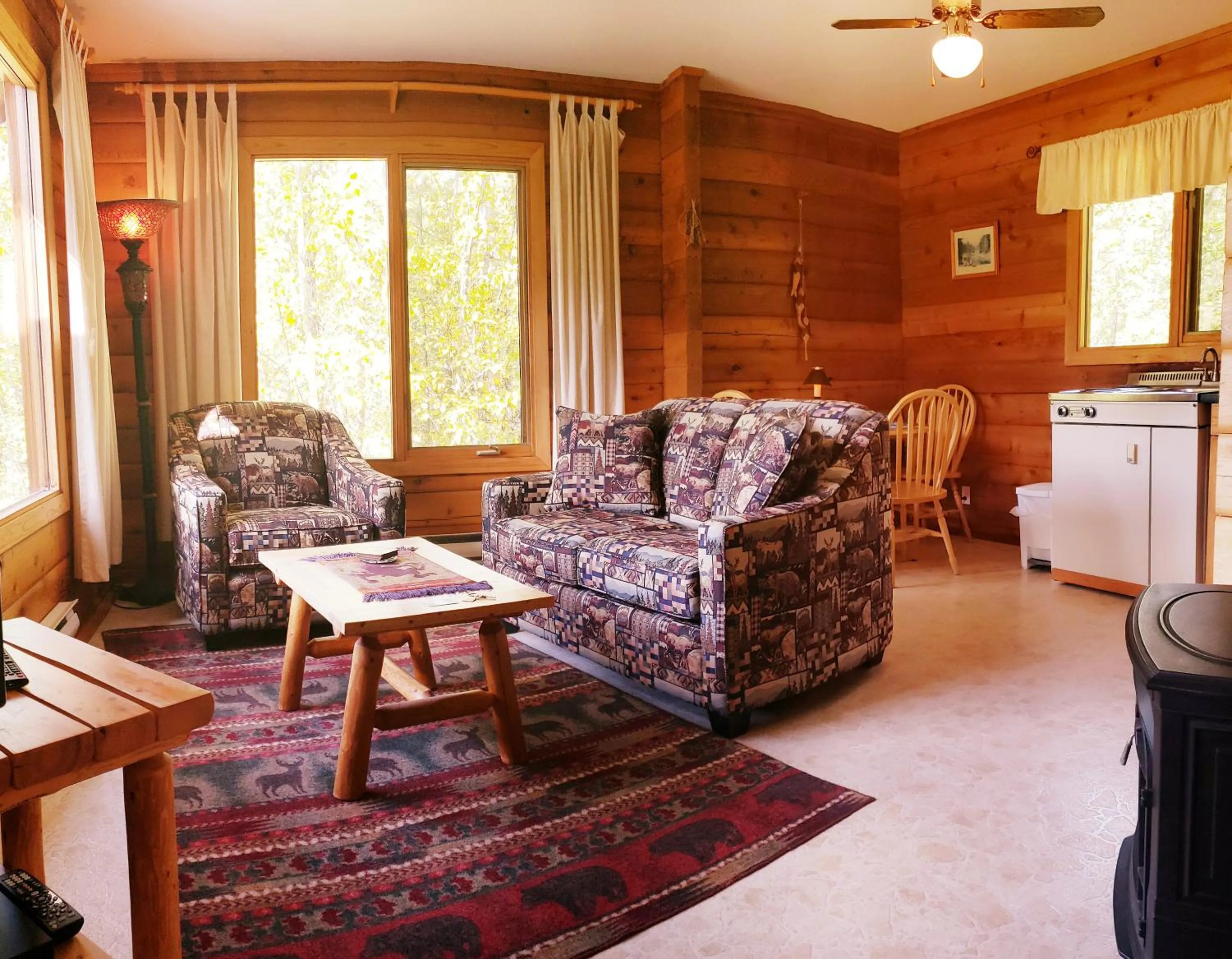 Living room in Mica Mountain Lodge & Log Cabins