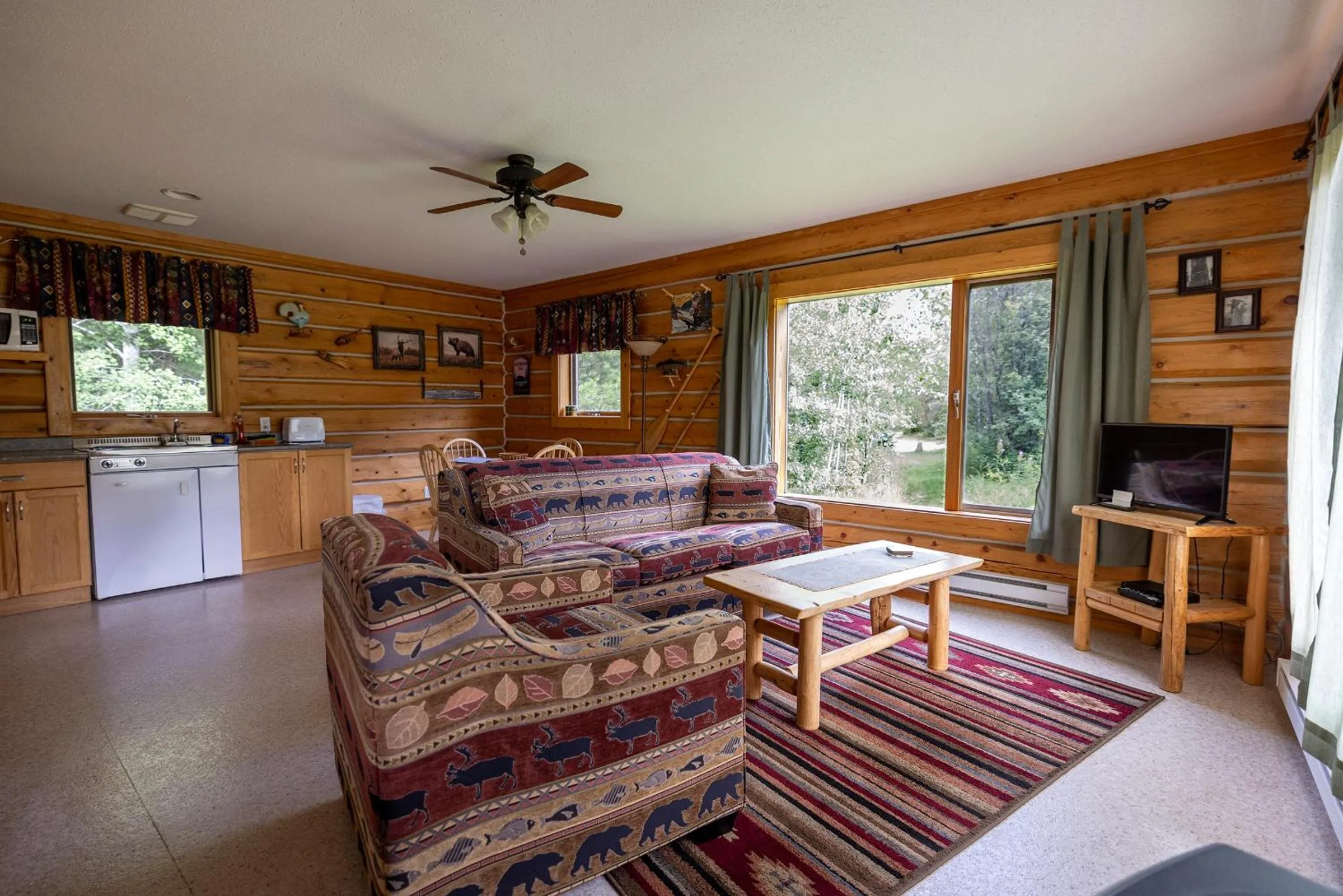 TV and multimedia in Mica Mountain Lodge & Log Cabins