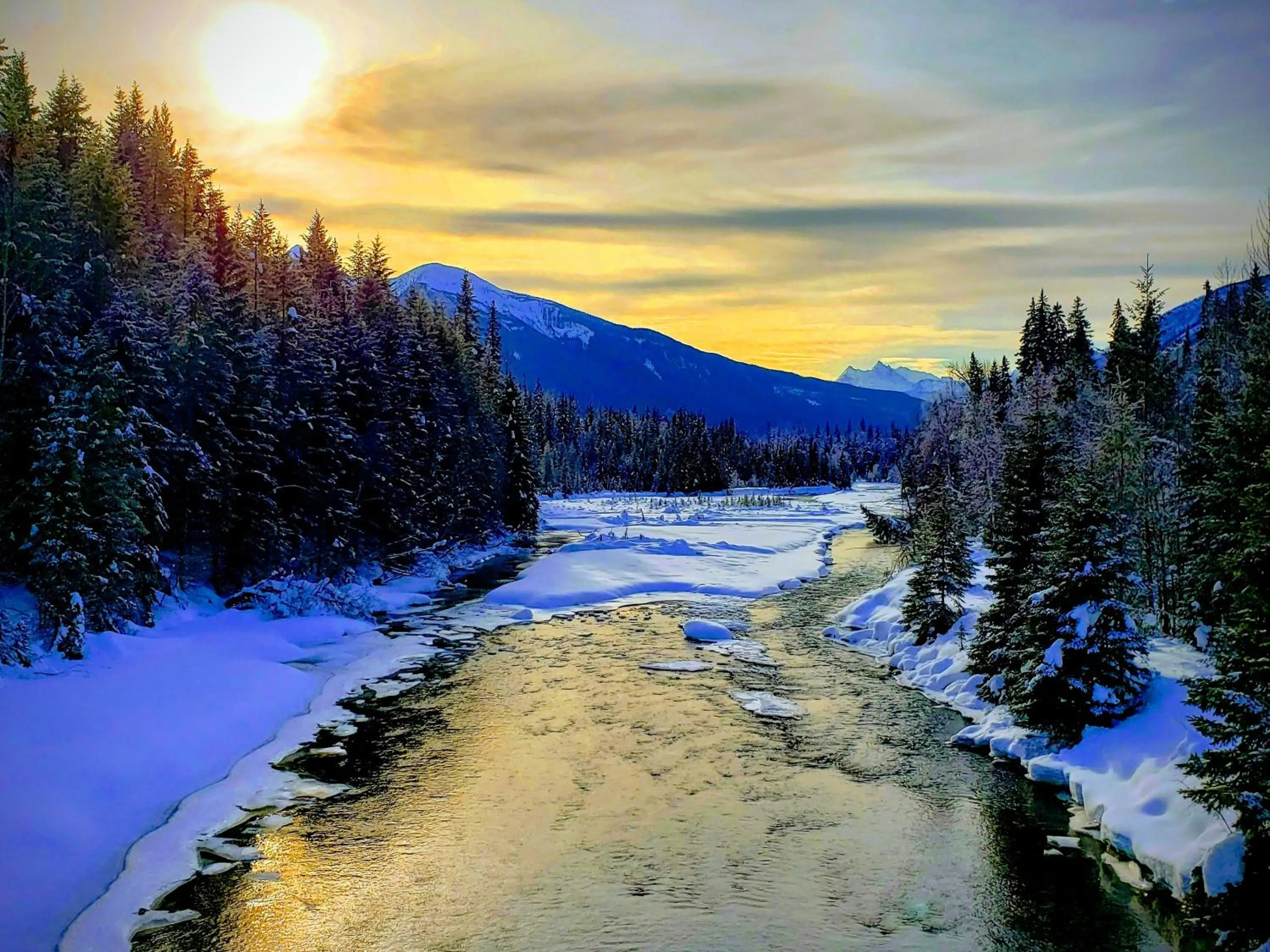 Natural landscape in Mica Mountain Lodge & Log Cabins