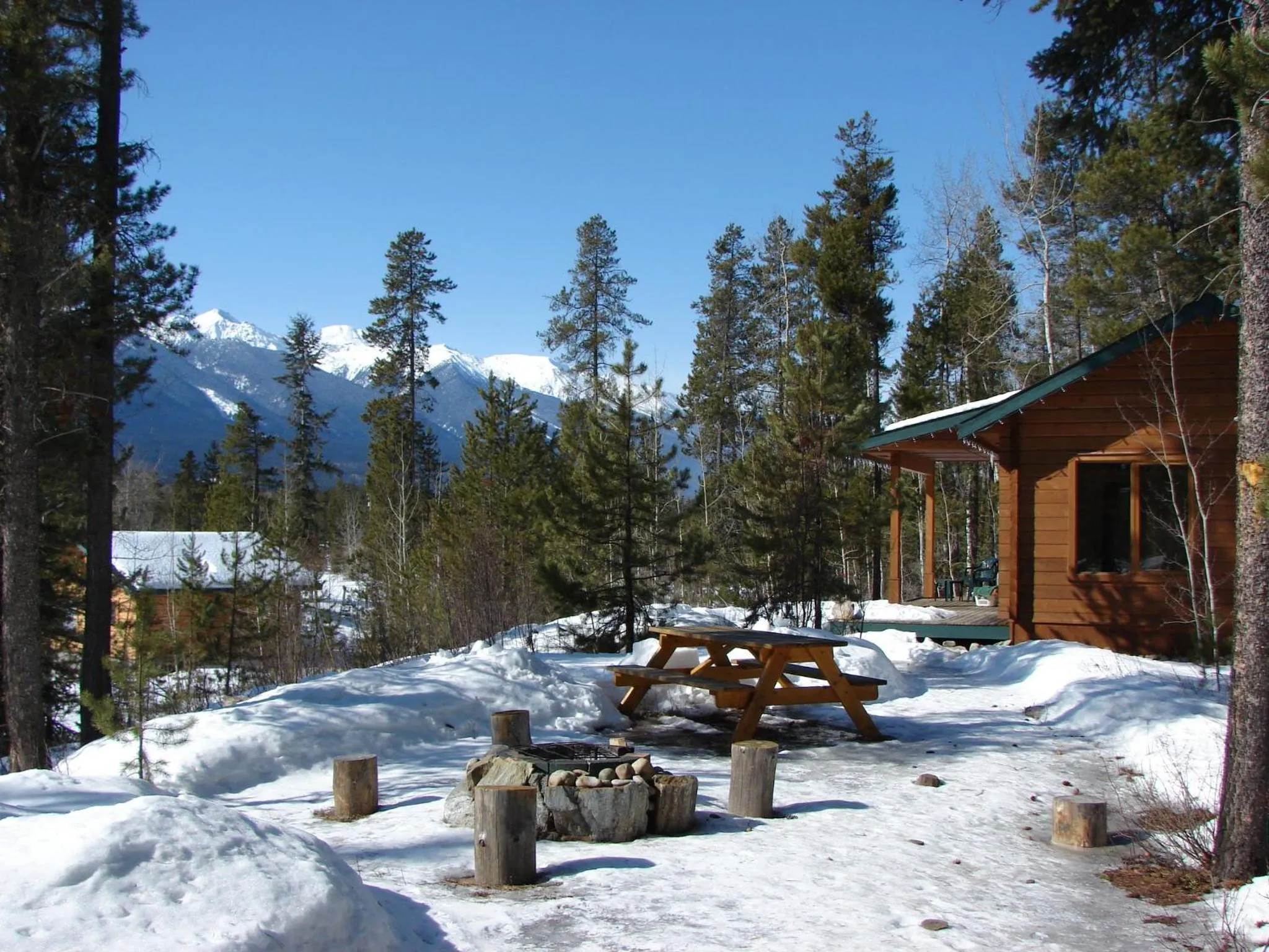 BBQ facilities in Mica Mountain Lodge & Log Cabins