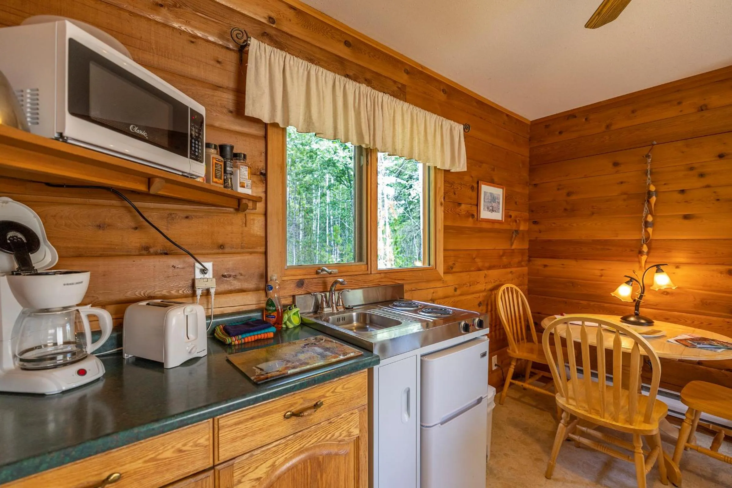 Kitchen or kitchenette in Mica Mountain Lodge & Log Cabins