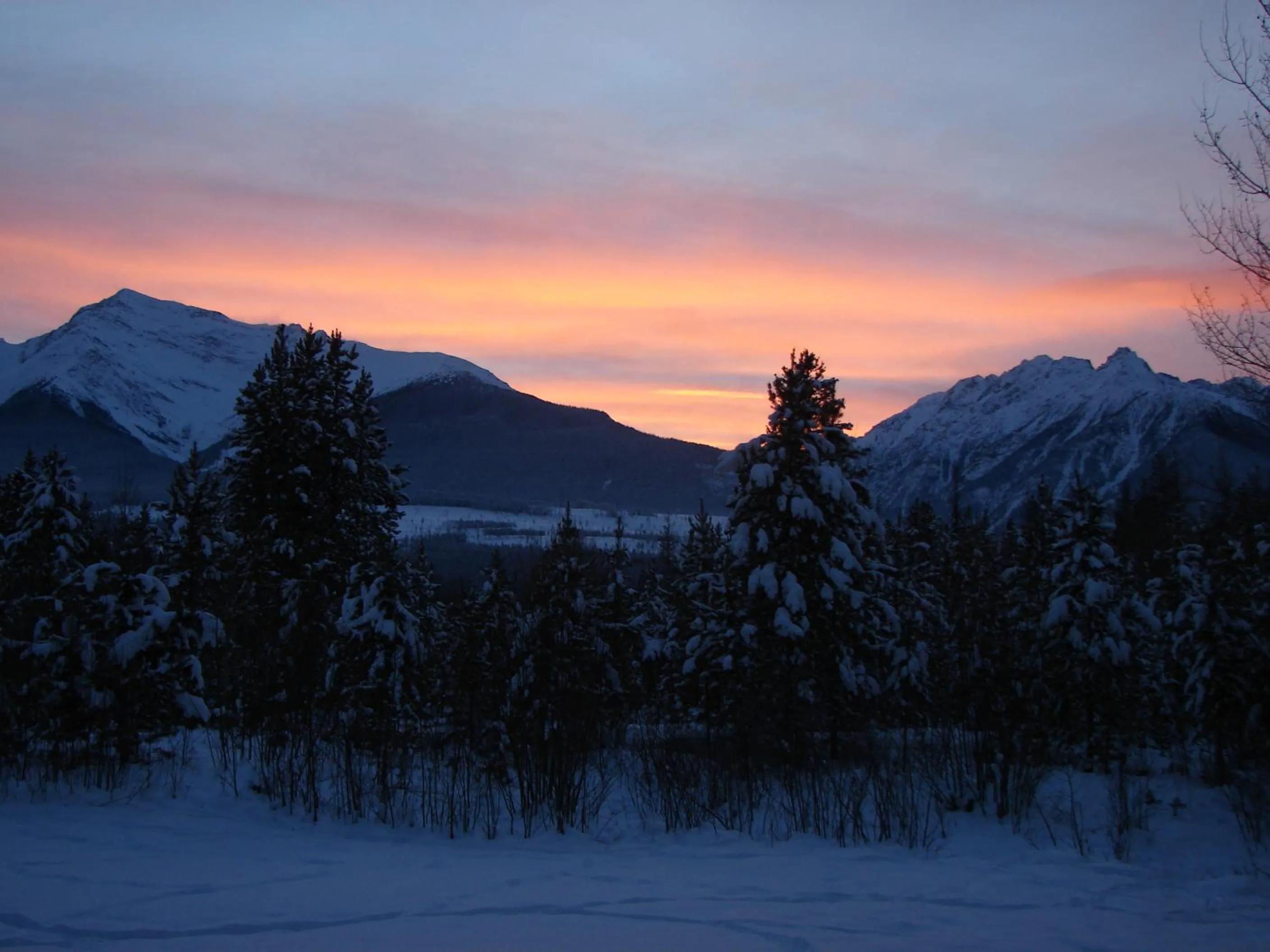 Natural landscape in Mica Mountain Lodge & Log Cabins