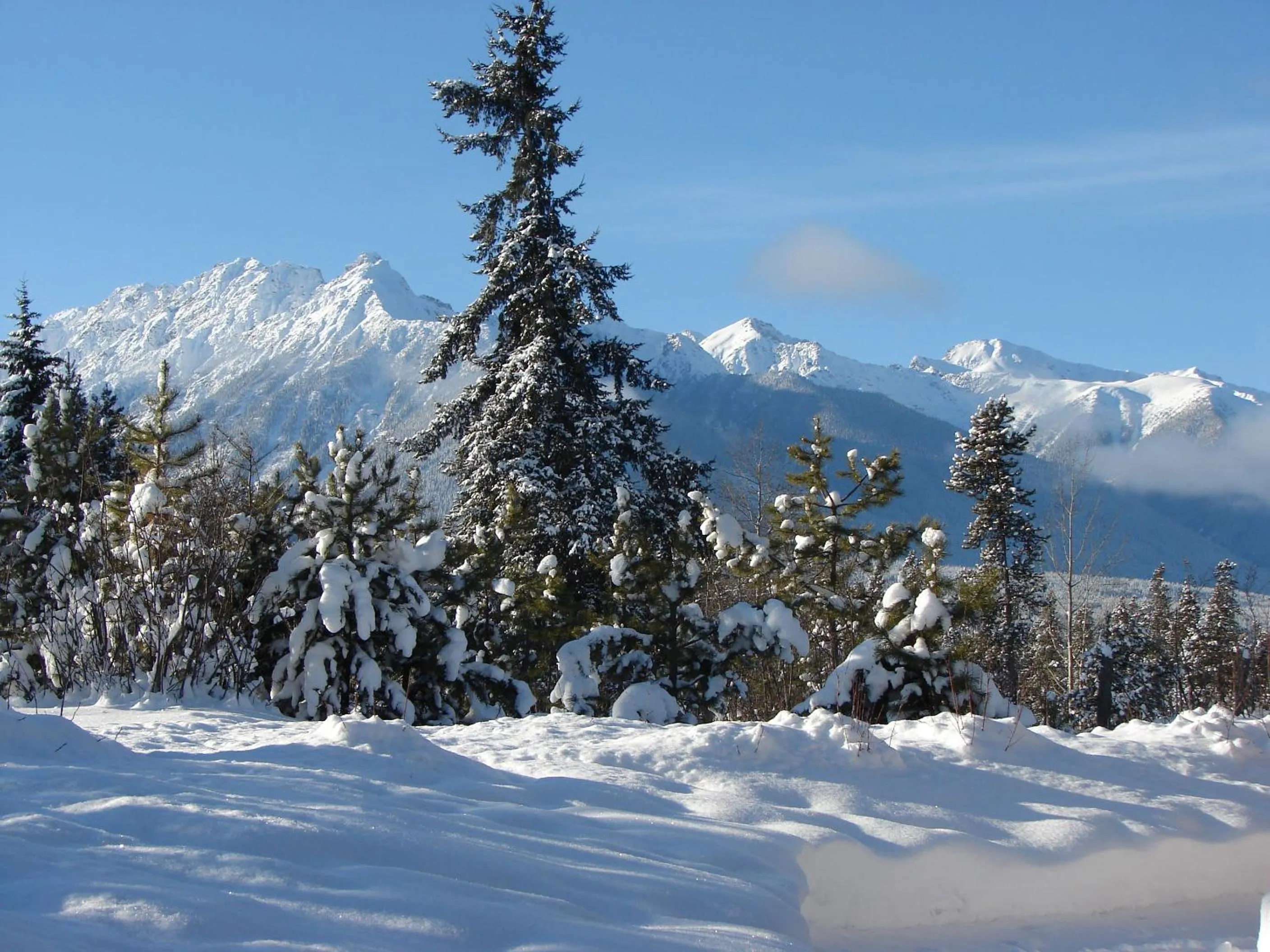 Natural landscape in Mica Mountain Lodge & Log Cabins