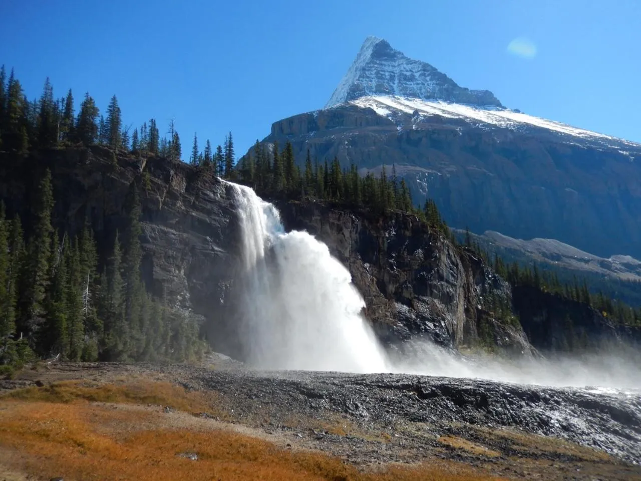 Natural landscape in Mica Mountain Lodge & Log Cabins
