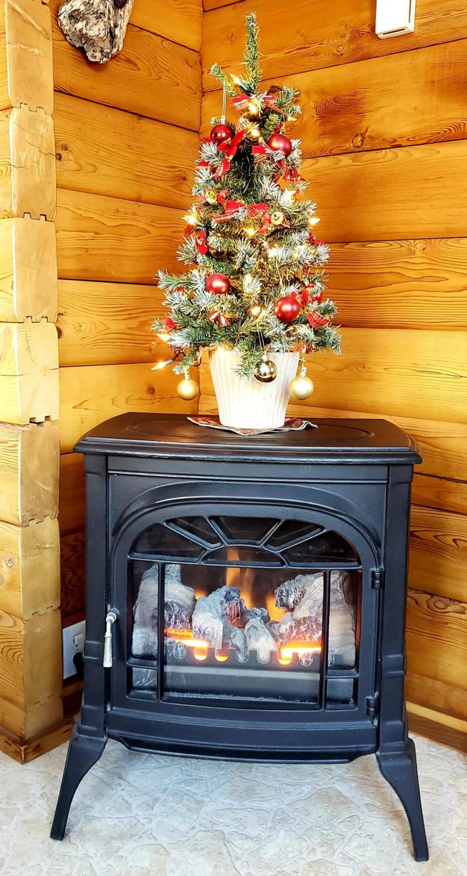 Property building in Mica Mountain Lodge & Log Cabins