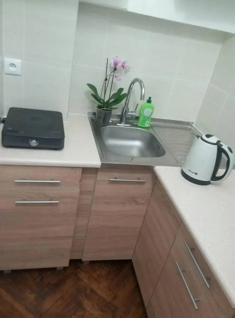 Kitchen or kitchenette, Kitchen/Kitchenette in Lorf Hostel&Apartments