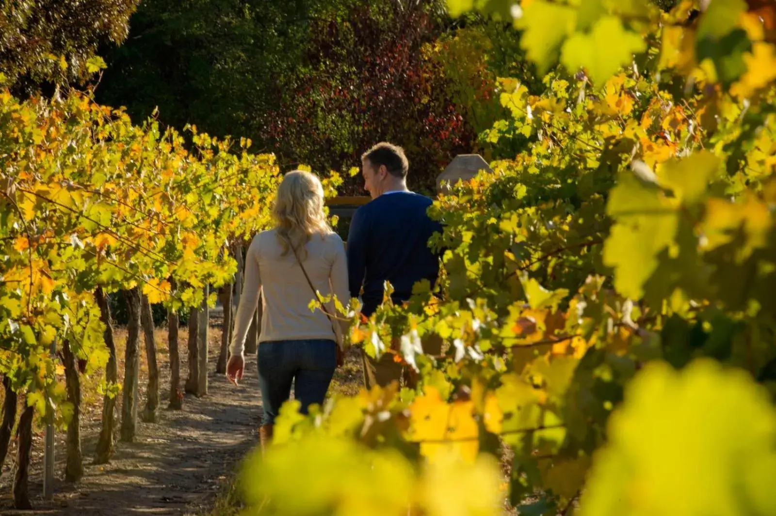 Restaurant/places to eat in Discovery Parks - Clare Restaurant/places to eat in Discovery Parks - Clare