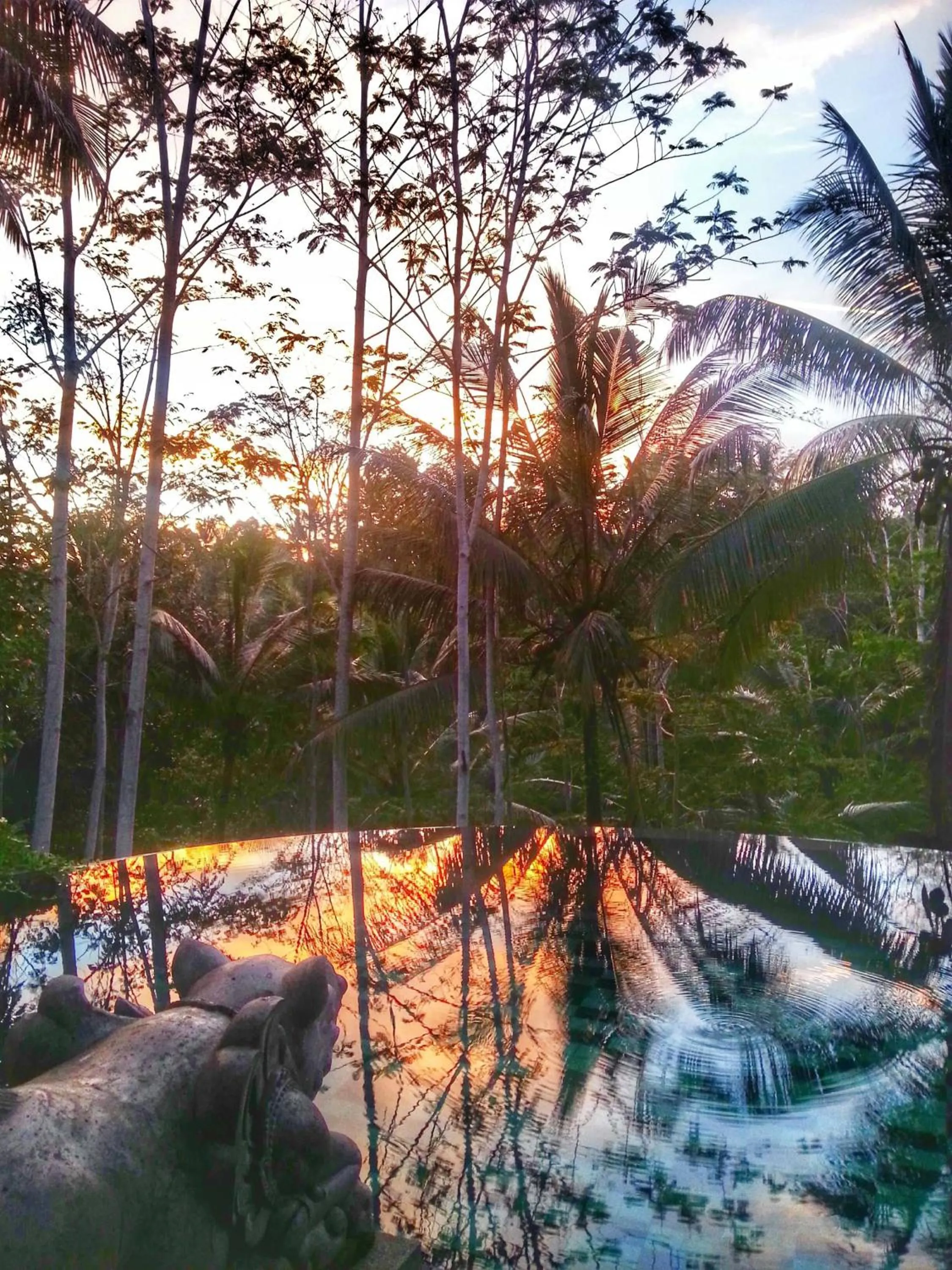 Other in Villa Amrita