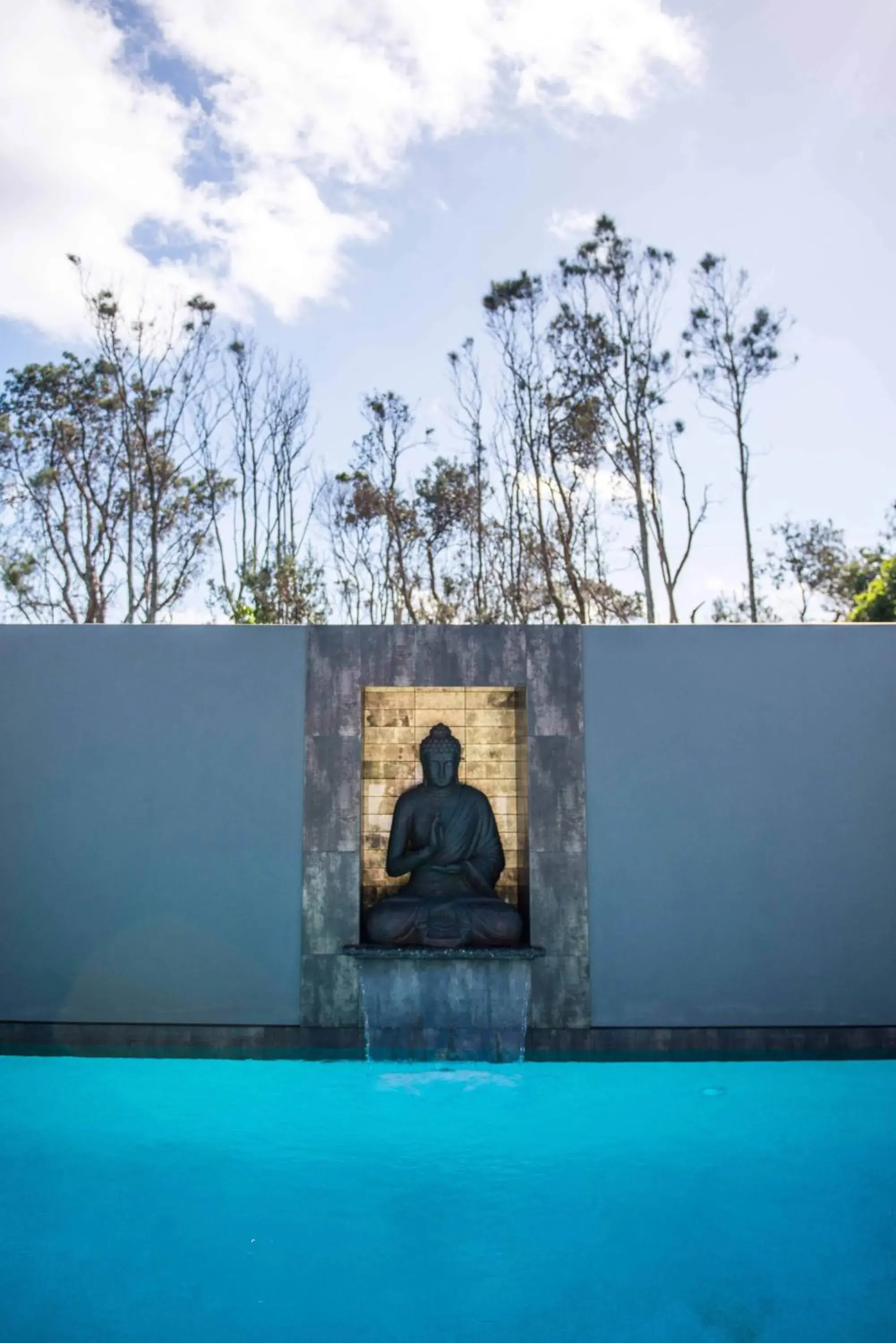 Swimming Pool in Cavvanbah - Byron Bay