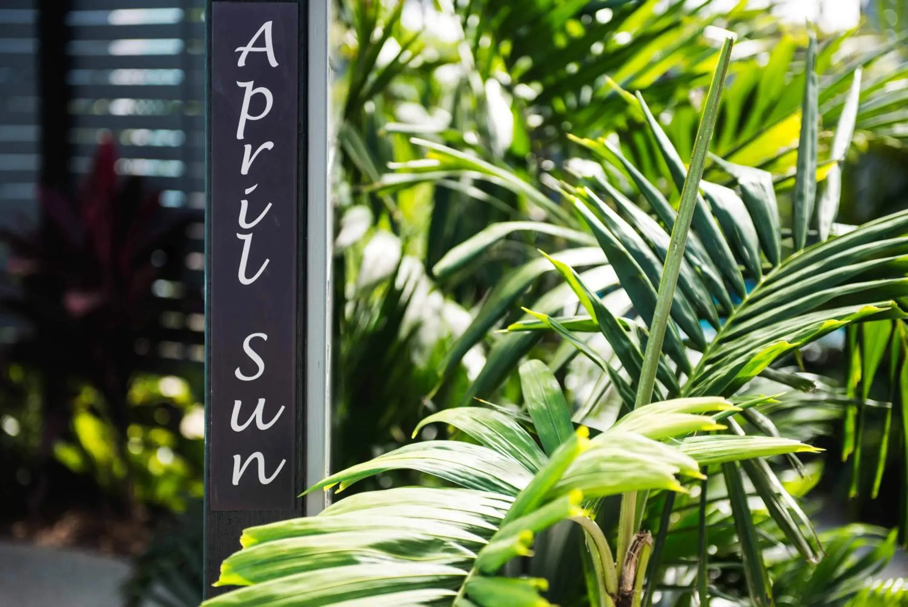 Facade/entrance, Property Logo/Sign in Cavvanbah - Byron Bay