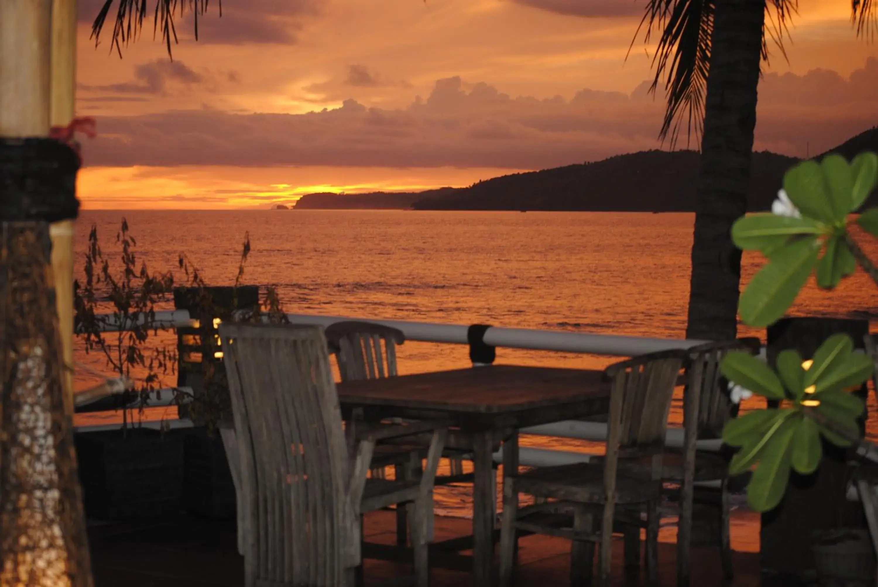 Restaurant/places to eat in 77 Sunset Plaza Restaurant/places to eat in 77 Sunset Plaza