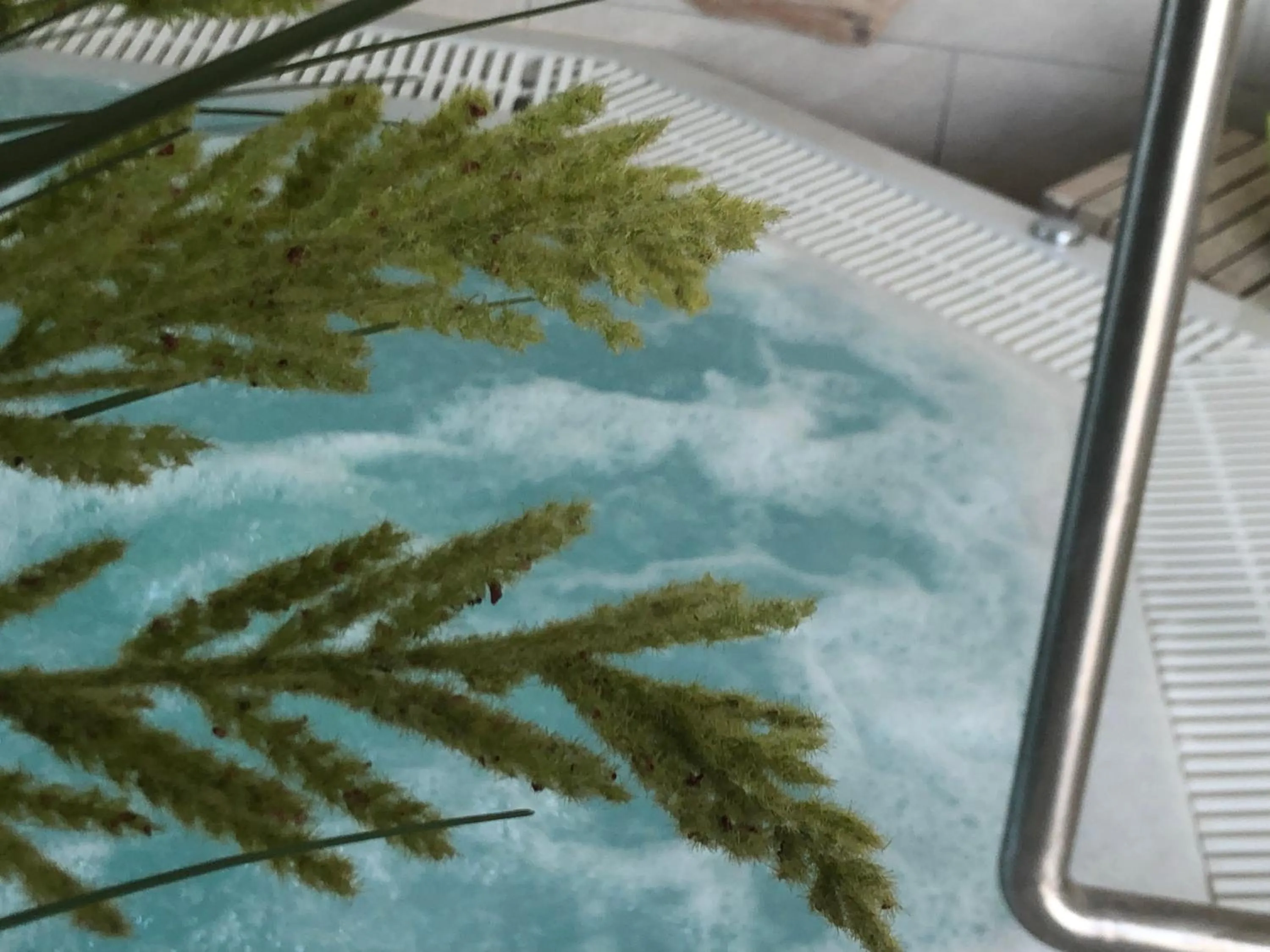 Balcony/Terrace in Hotel Imperium