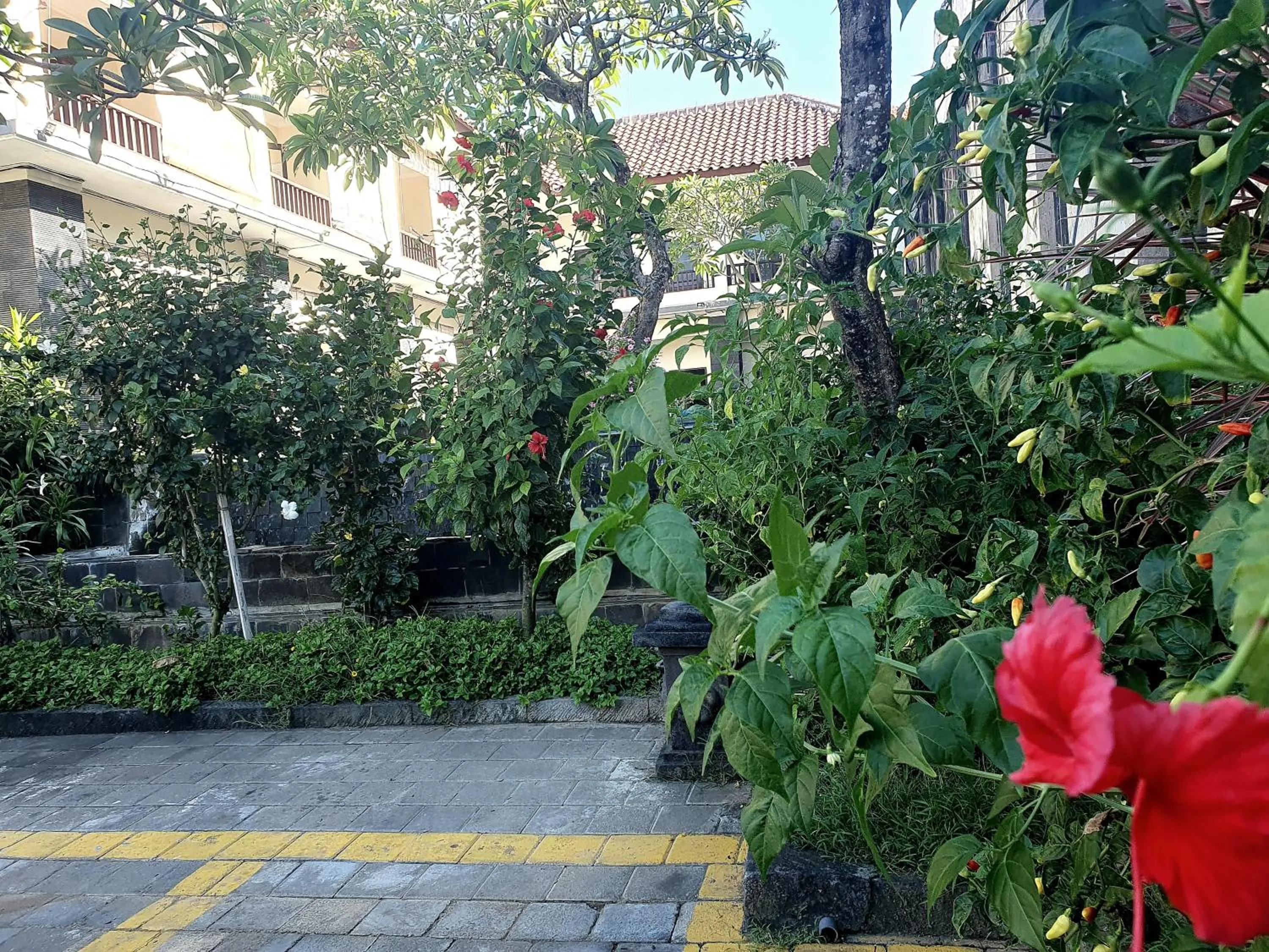 Garden in Radha Bali Hotel