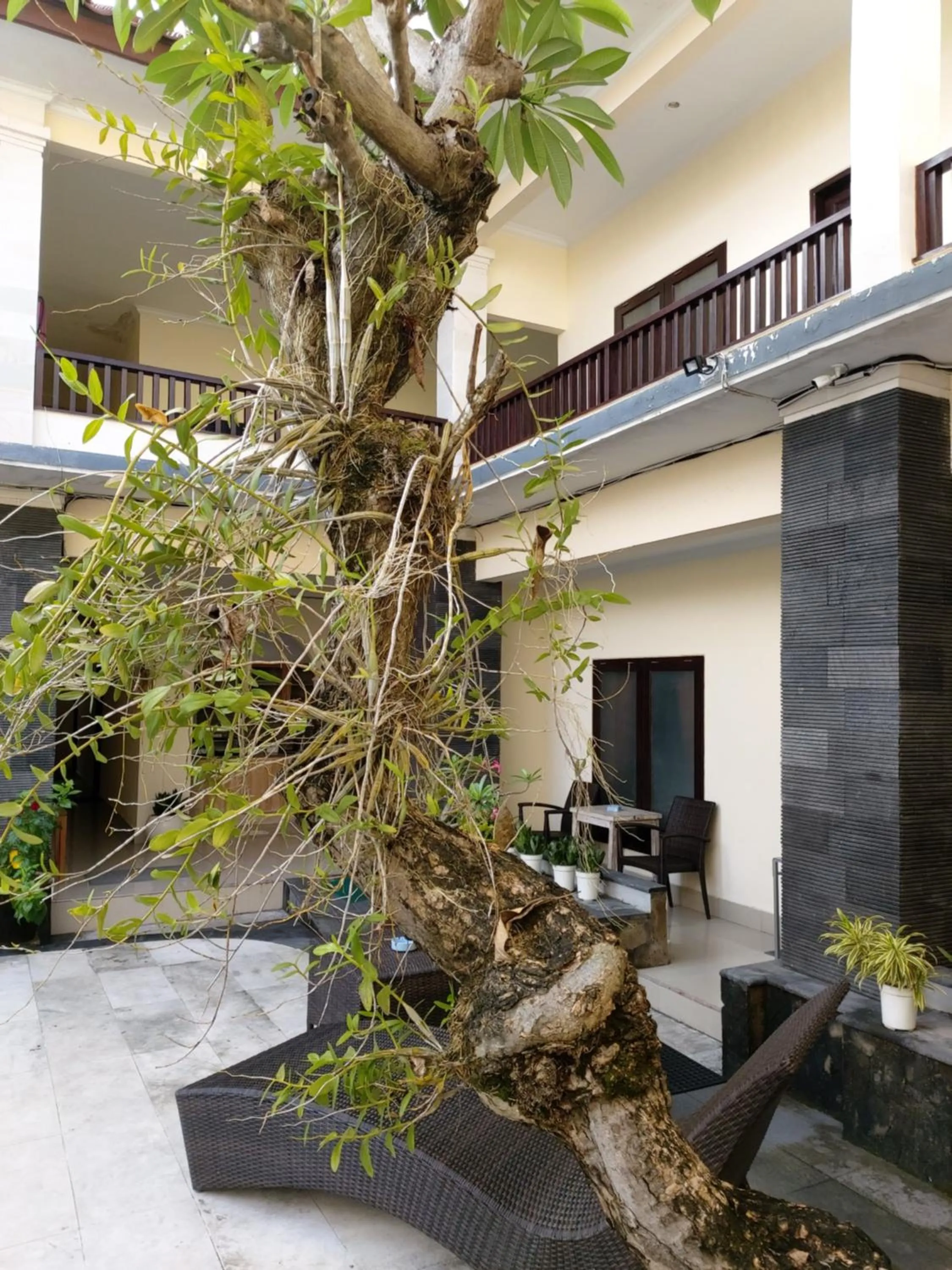 Seating area in Radha Bali Hotel