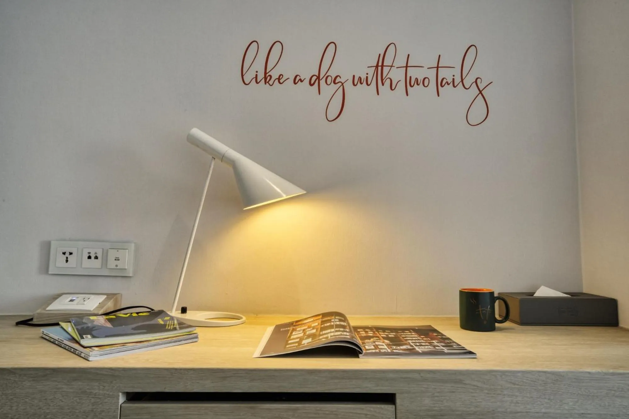 Photo of the whole room in Two Tails Hotel Luzhou