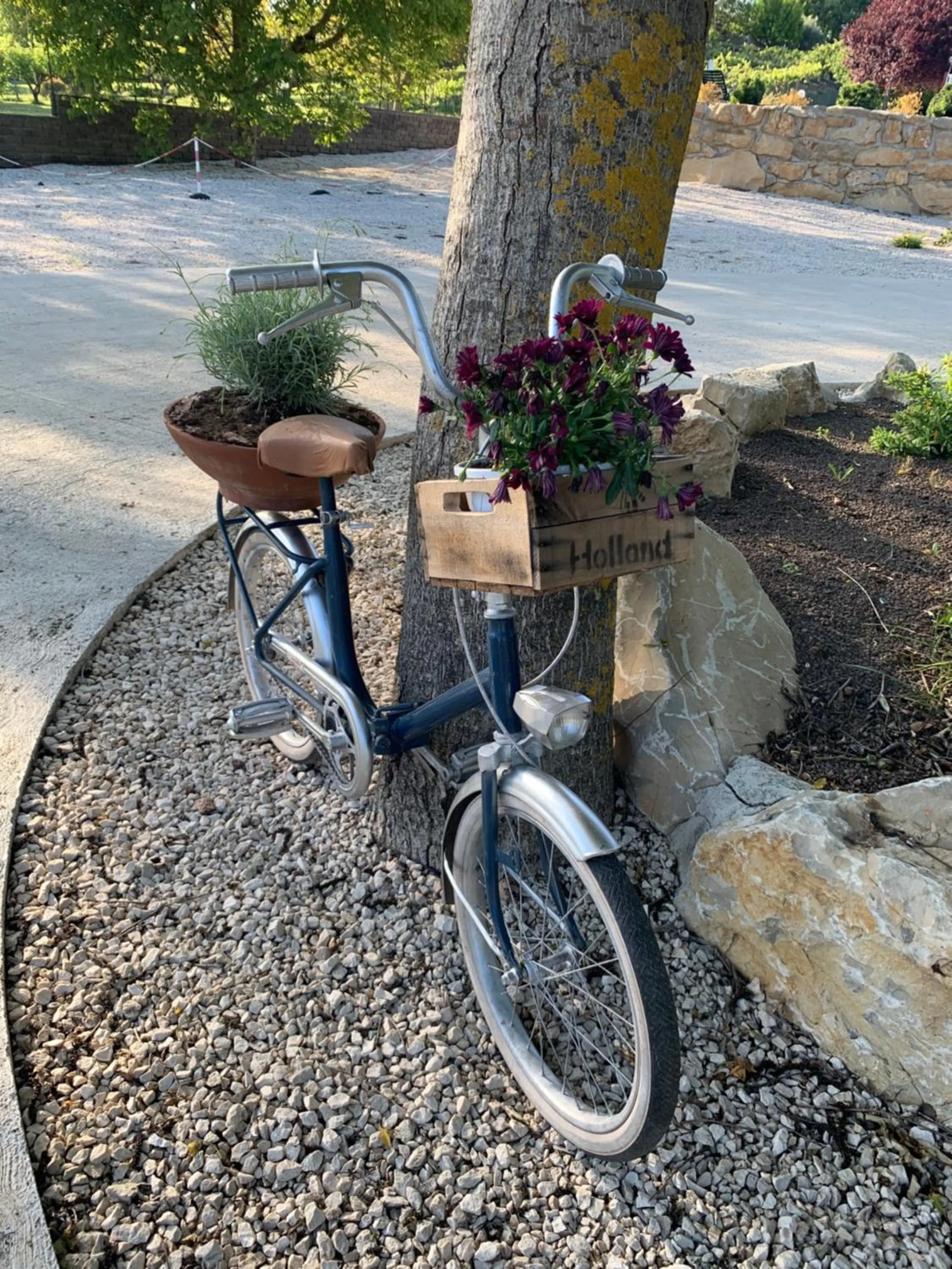 Floor plan in Il Profumo della Natura B&B