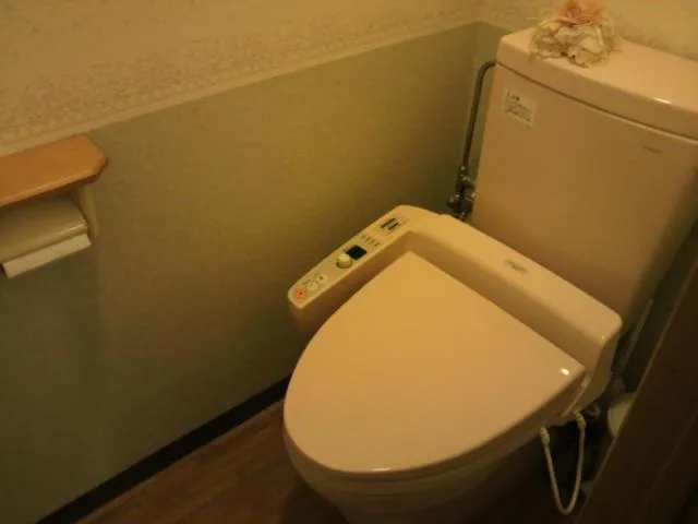 Lodge Ueno Ski