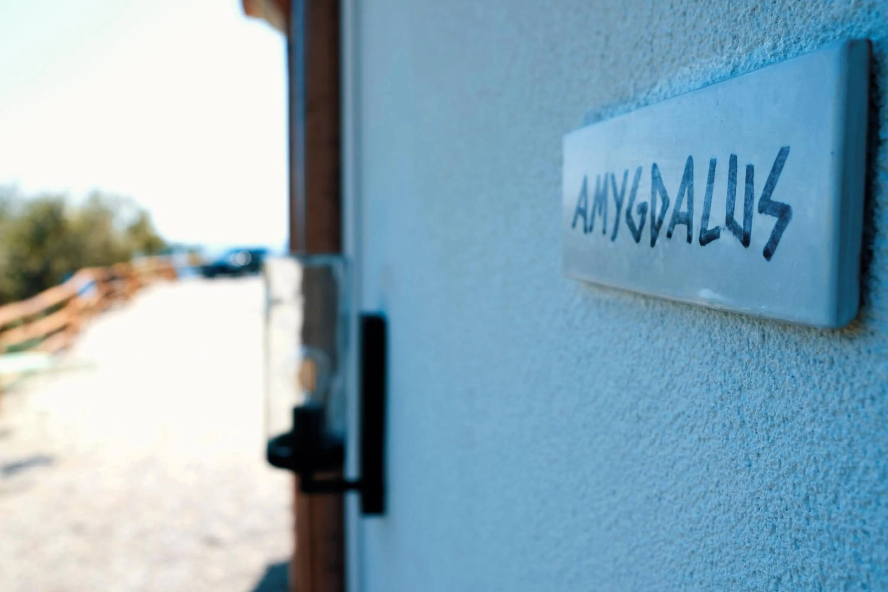 Country House “ Il Mandorlo”