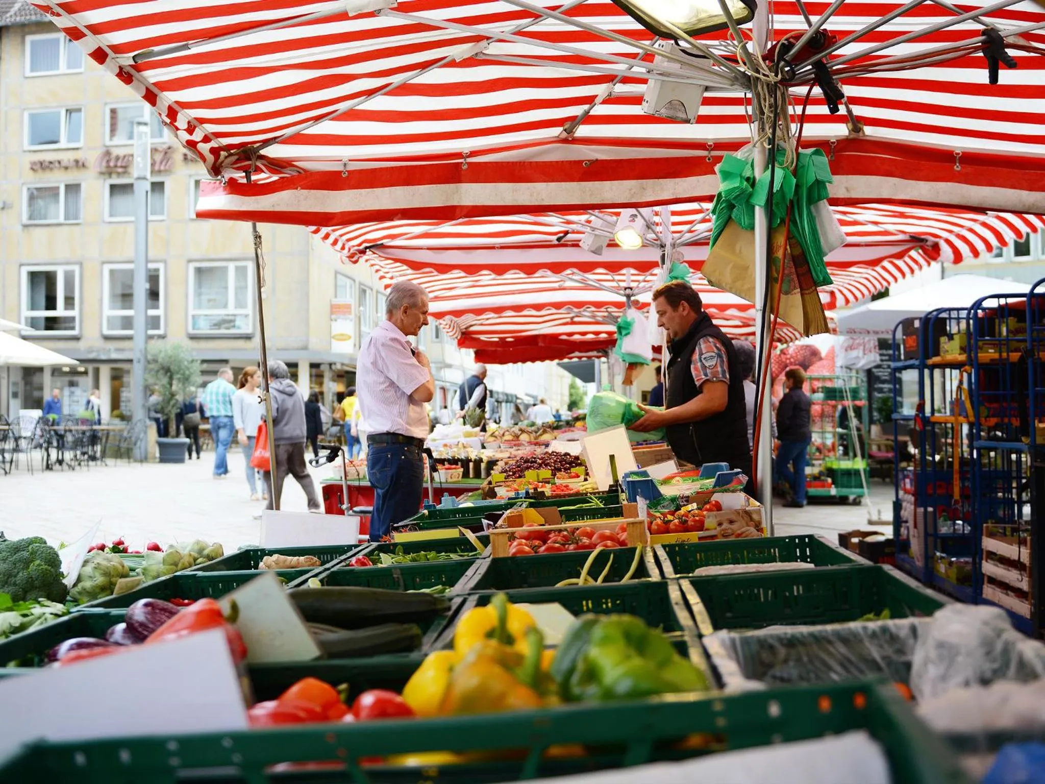 Area and facilities in Boardinghouse Bielefeld