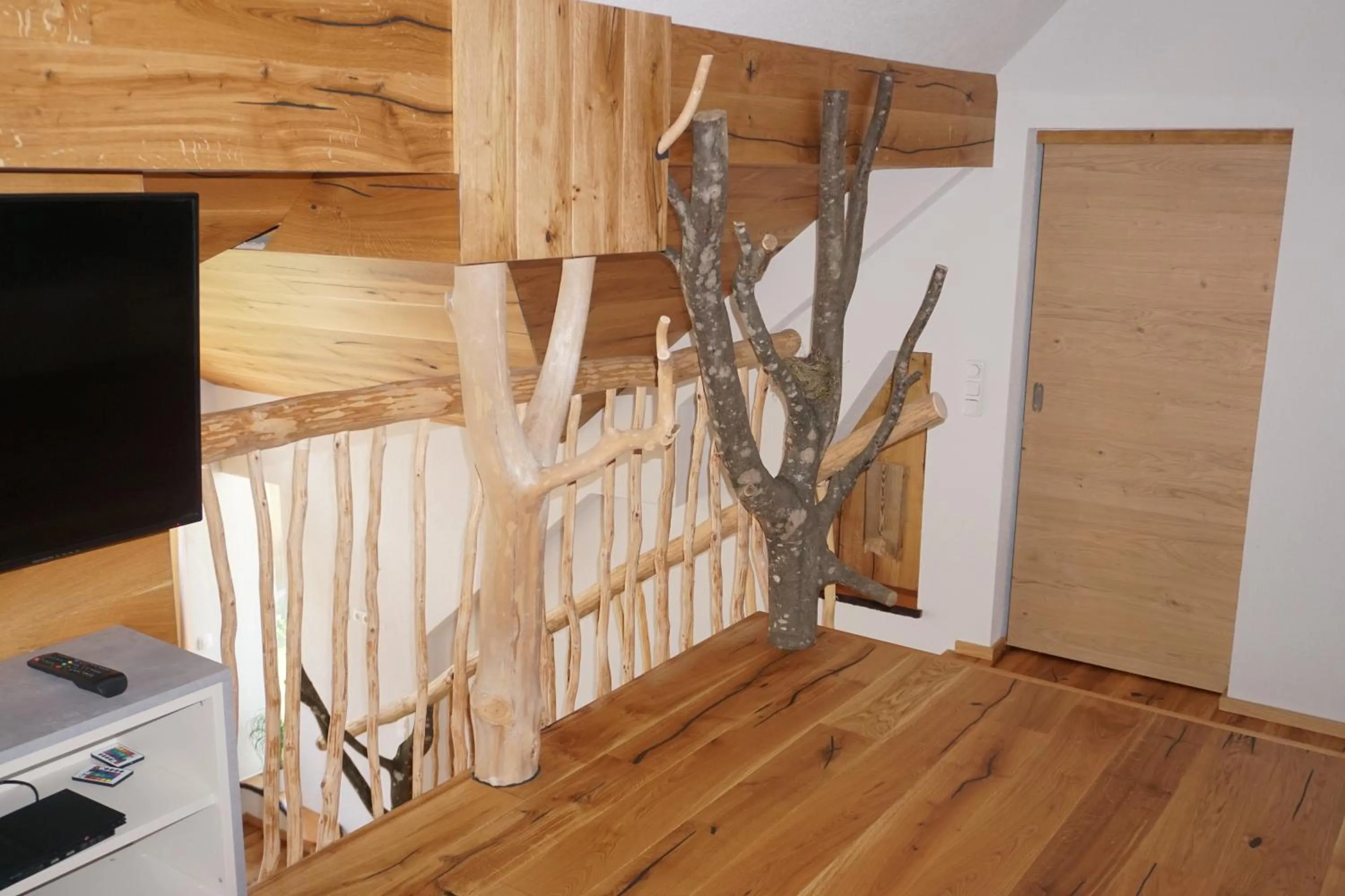 TV and multimedia in Schmiedsipplhof