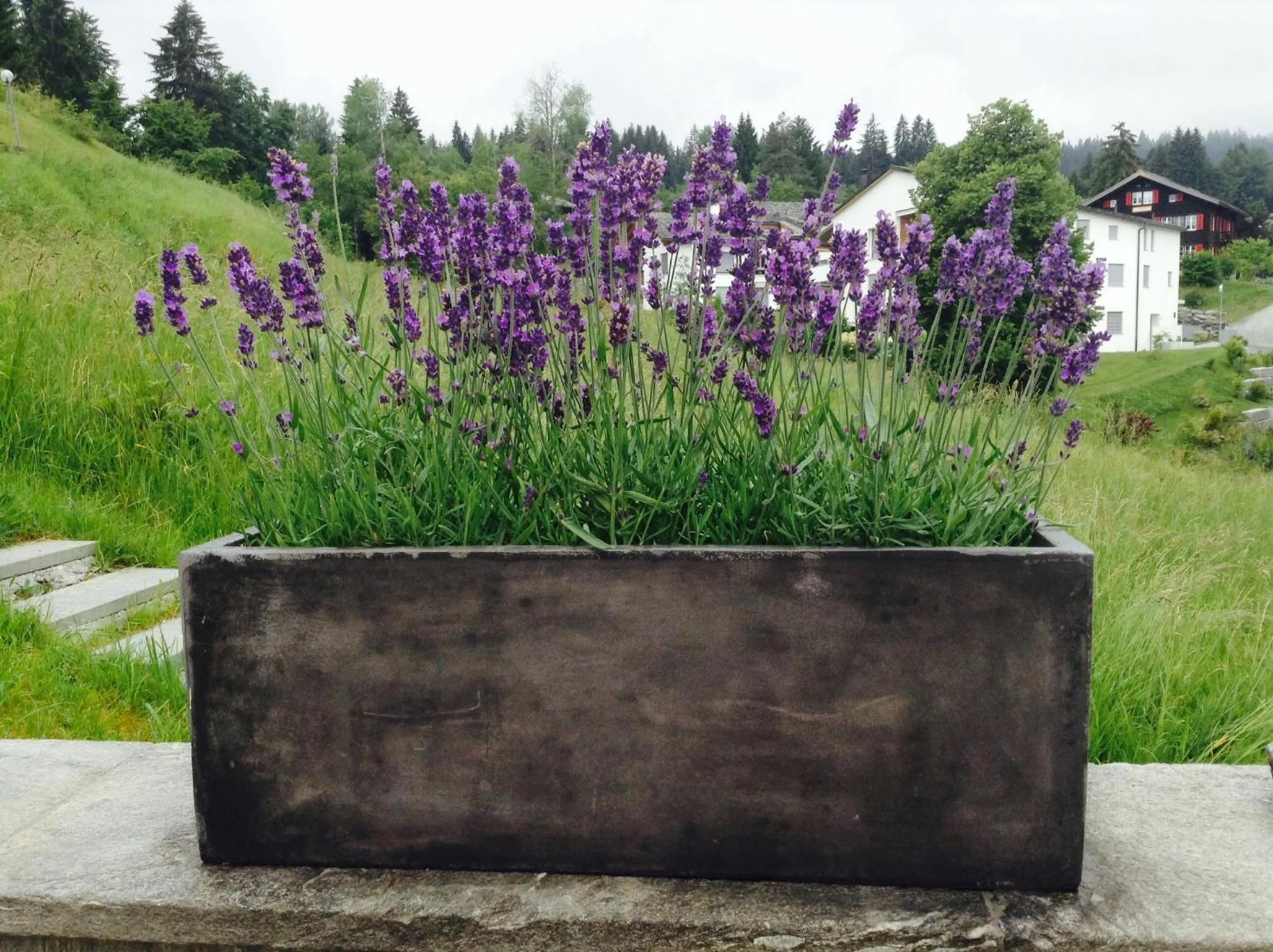 Decorative detail in Hotel Restaurant Chesa