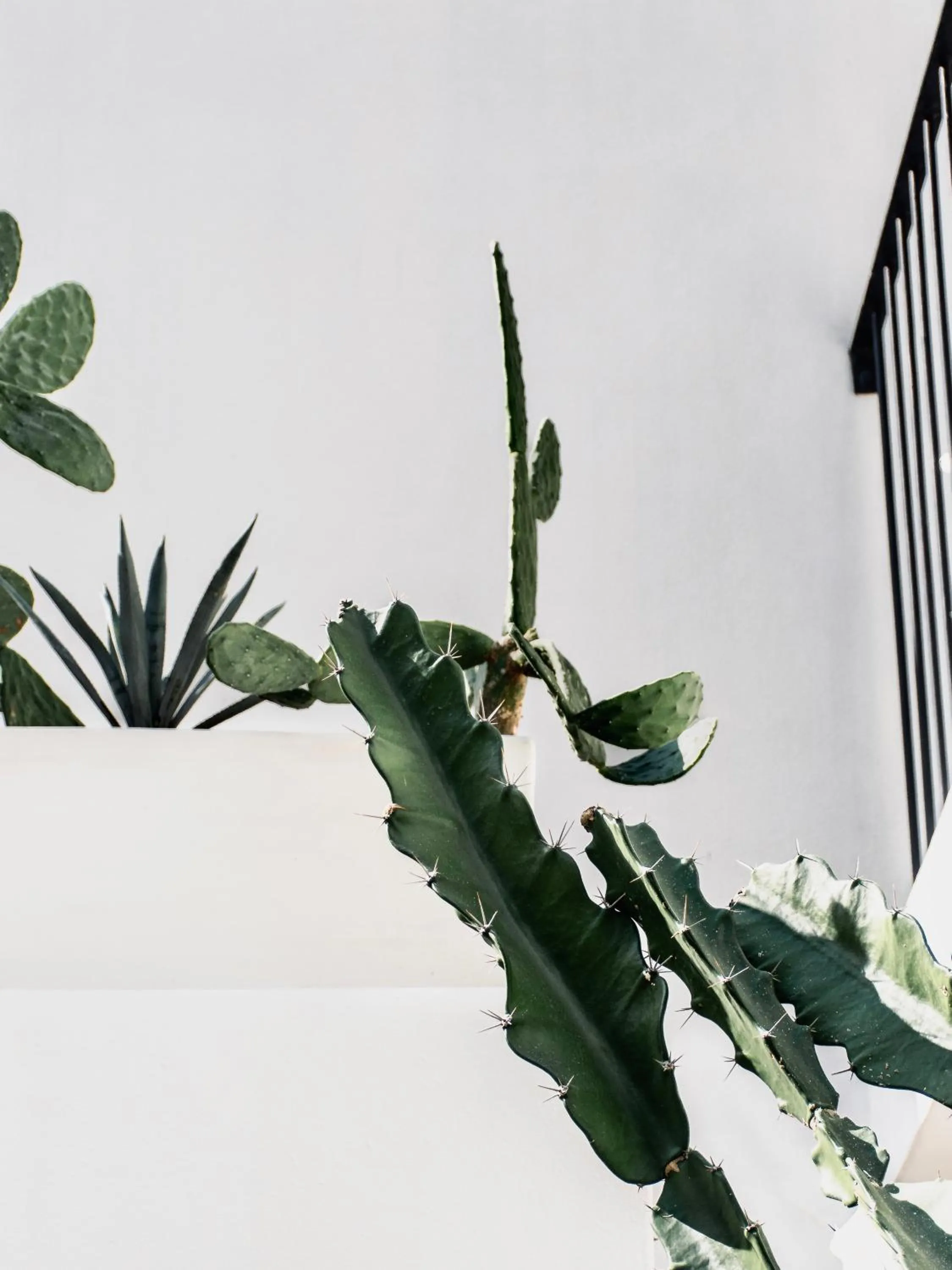 Property building in Residencia Tropical Don Bonito