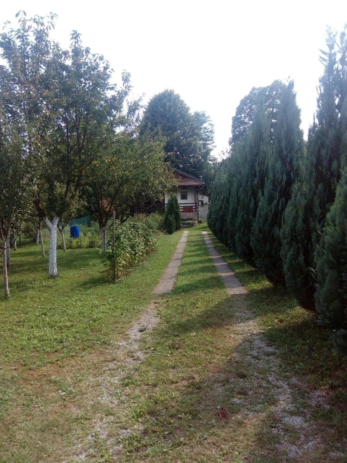 Natural landscape in Sunny Paradise