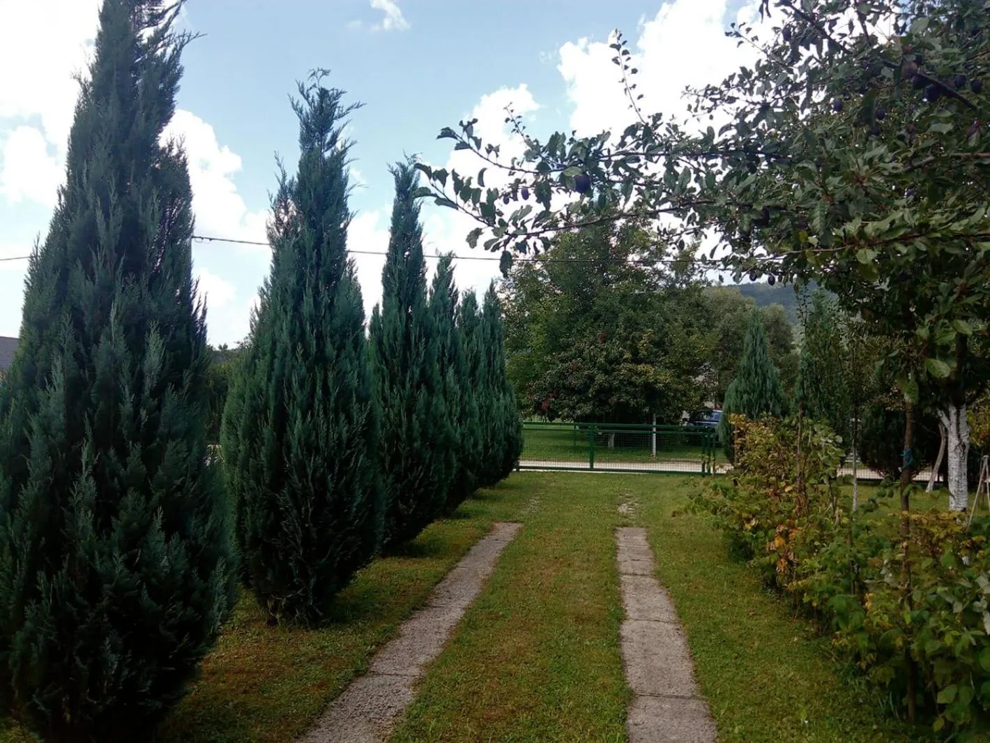 Natural landscape in Sunny Paradise