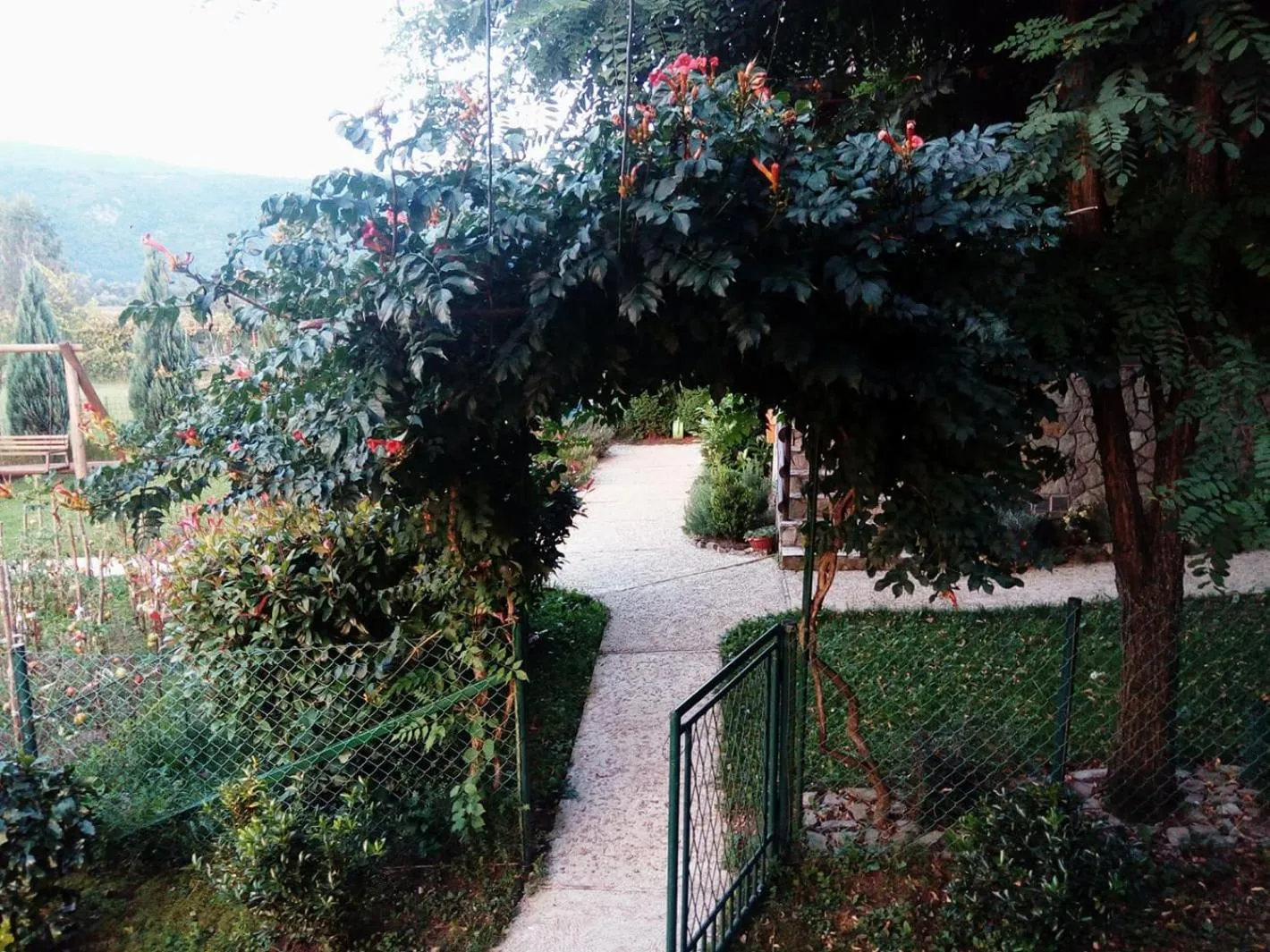 Natural landscape in Sunny Paradise