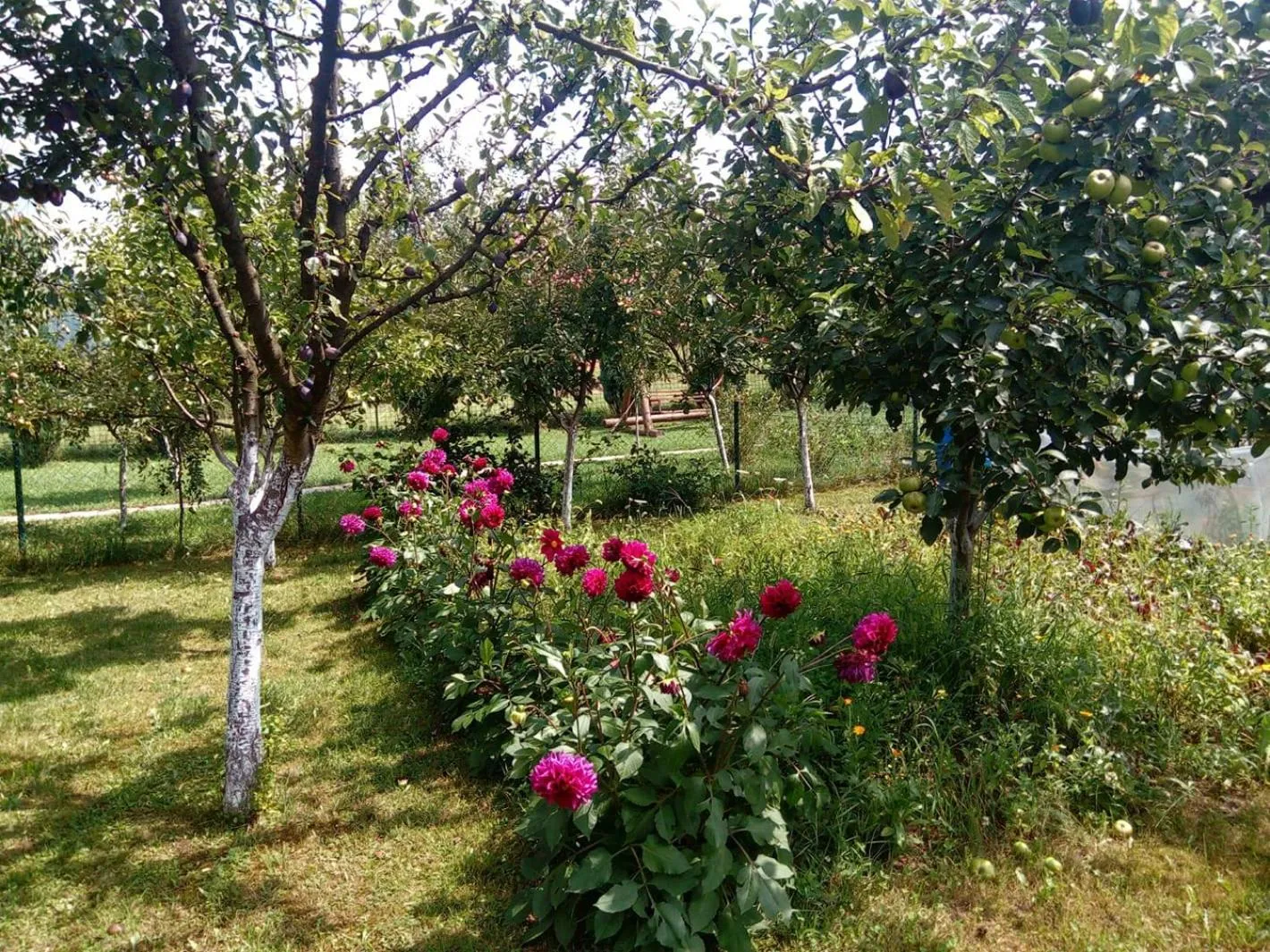 Garden in Sunny Paradise