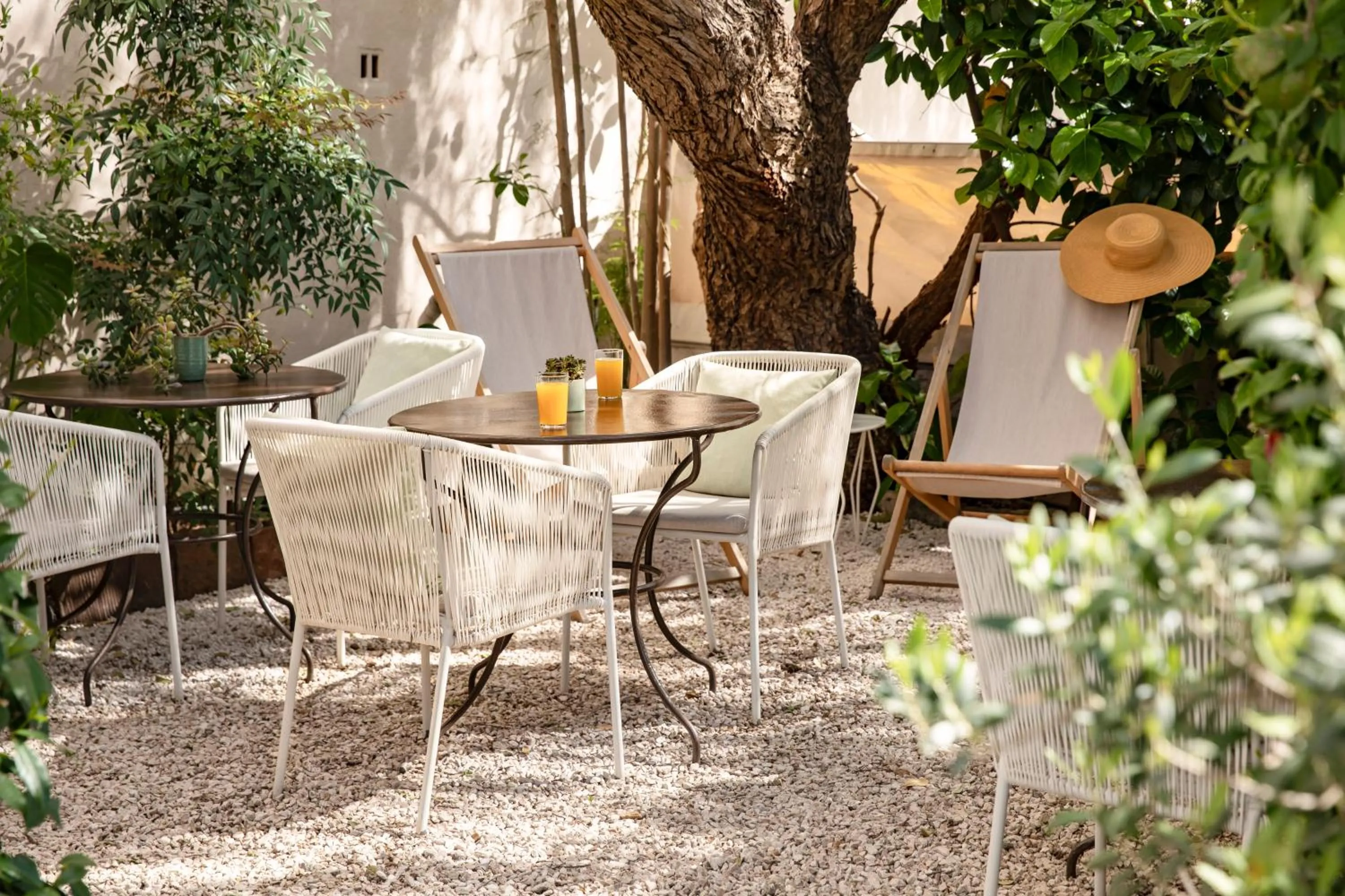 Garden in Hotel La Bienvenue