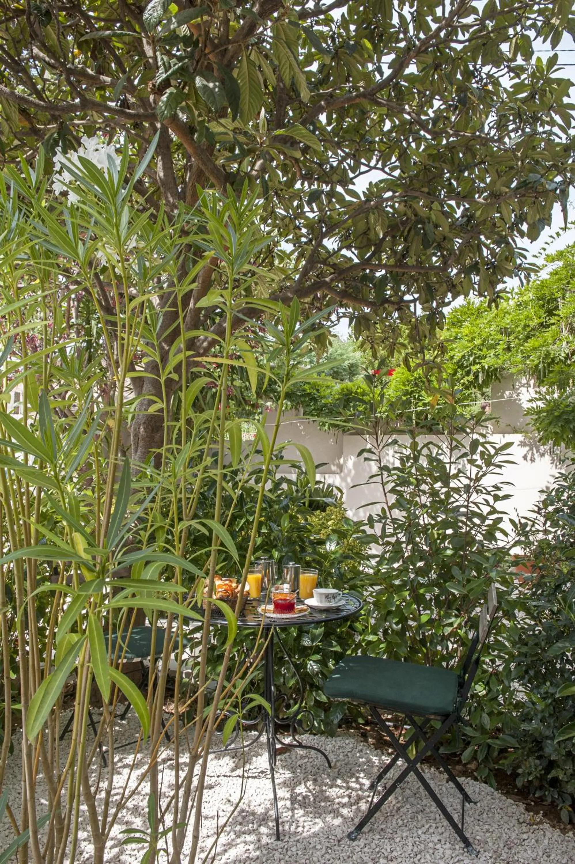 Garden view in Hotel La Bienvenue