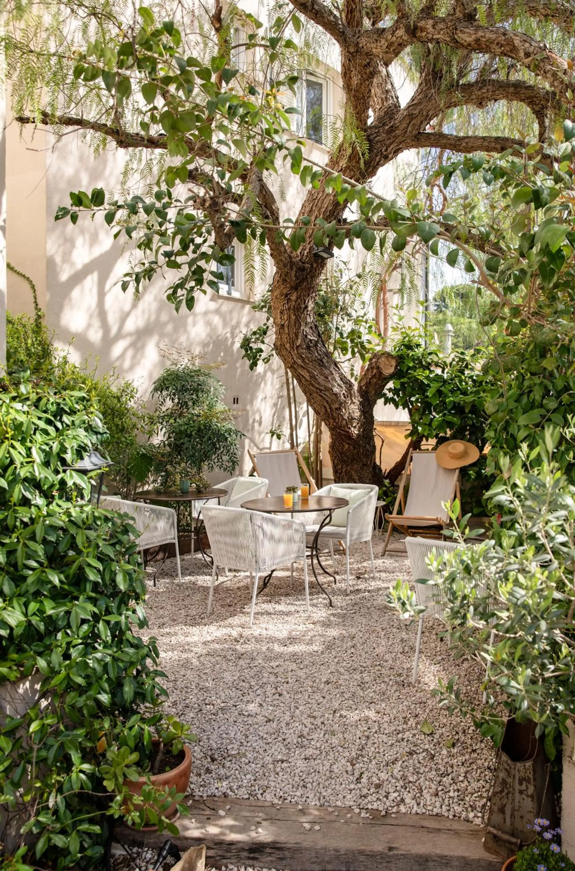 Garden in Hotel La Bienvenue