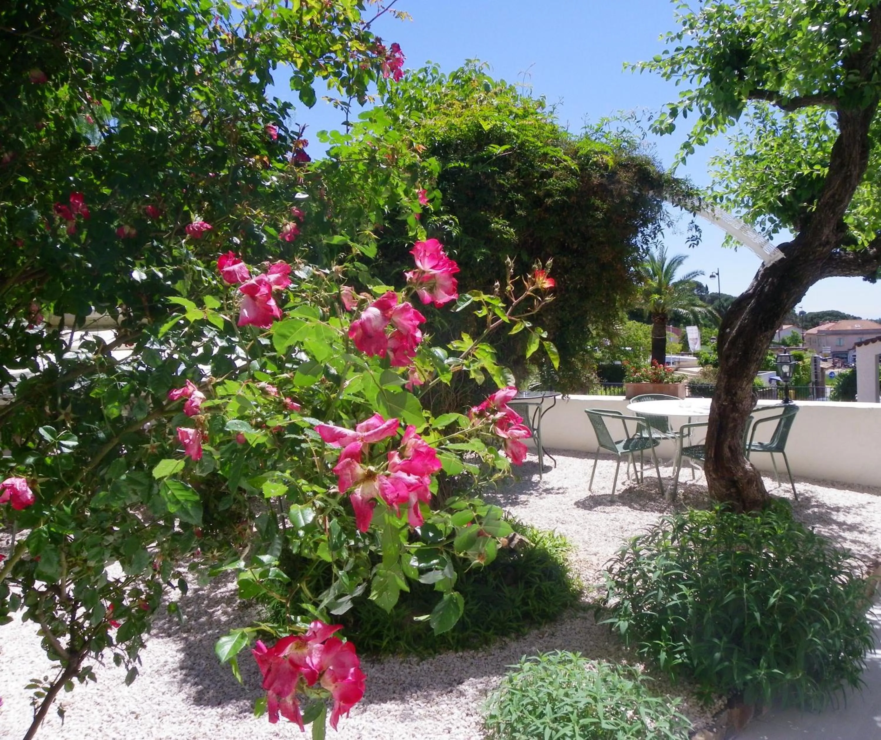 Garden in Hotel La Bienvenue