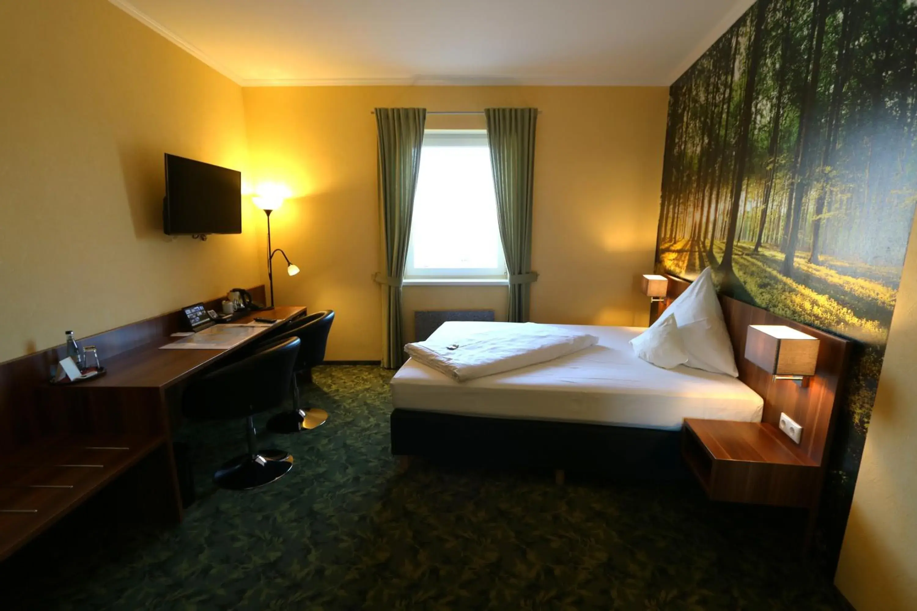 Single Room in Hotel Deutscher Hof Single Room in Hotel Deutscher Hof