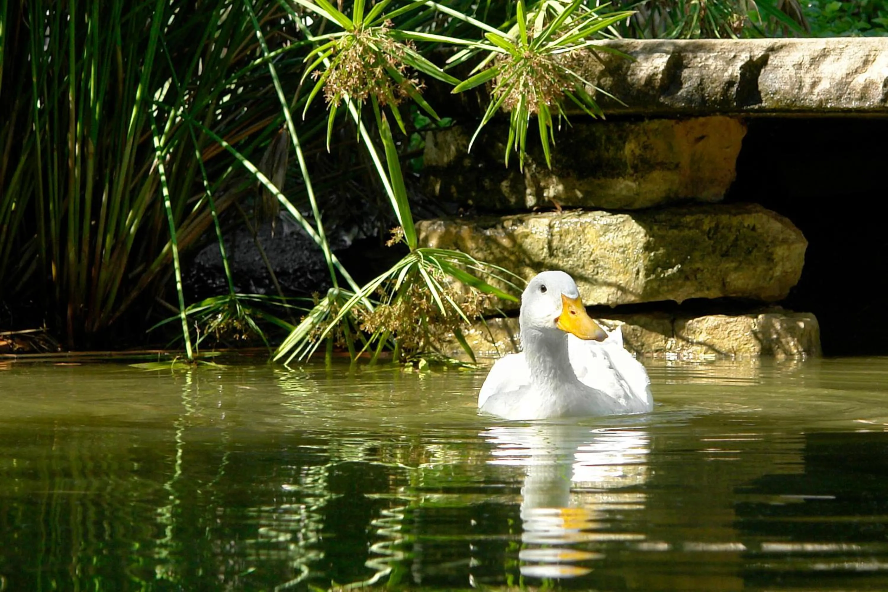 Other in Olympos Lodge