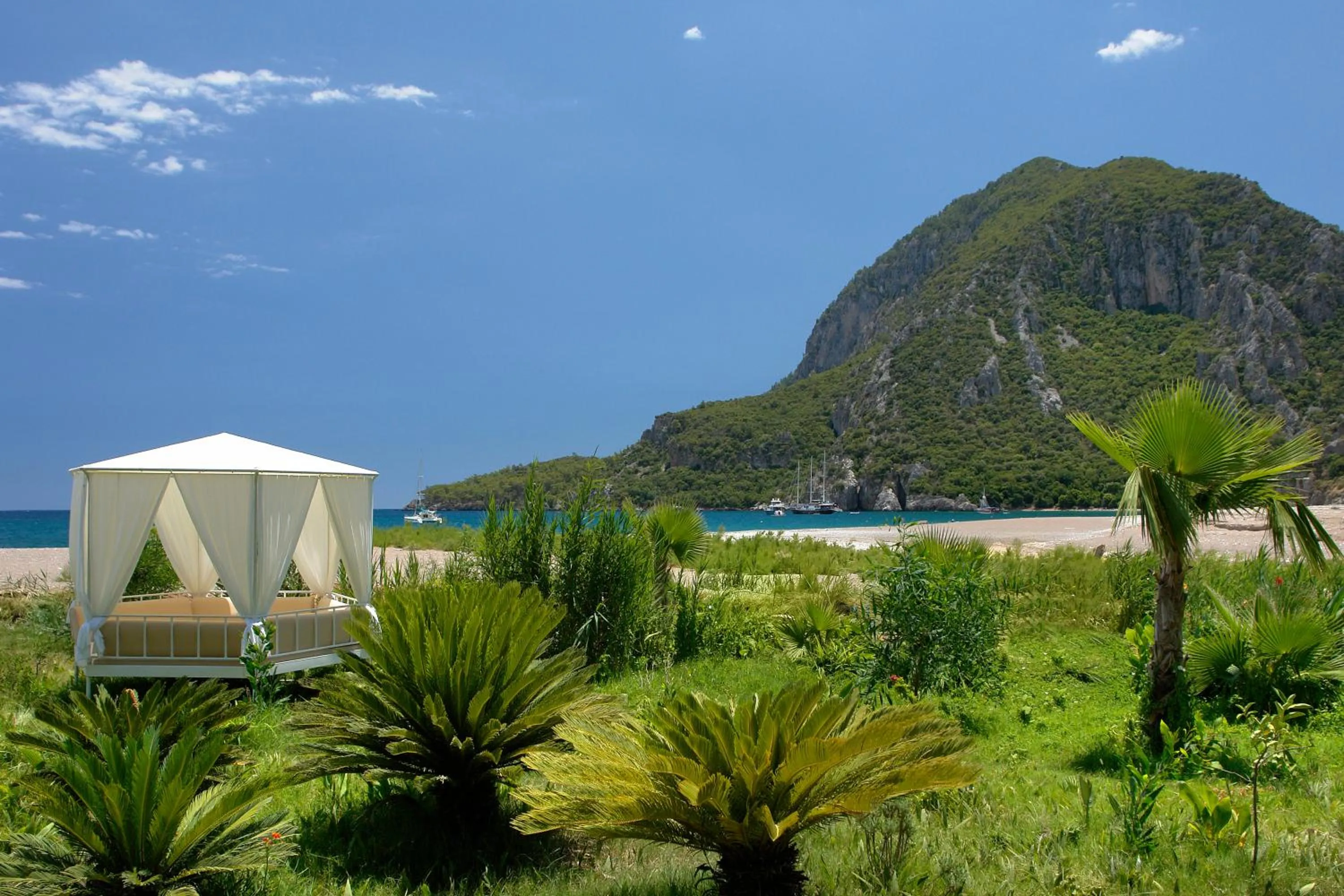 Garden in Olympos Lodge