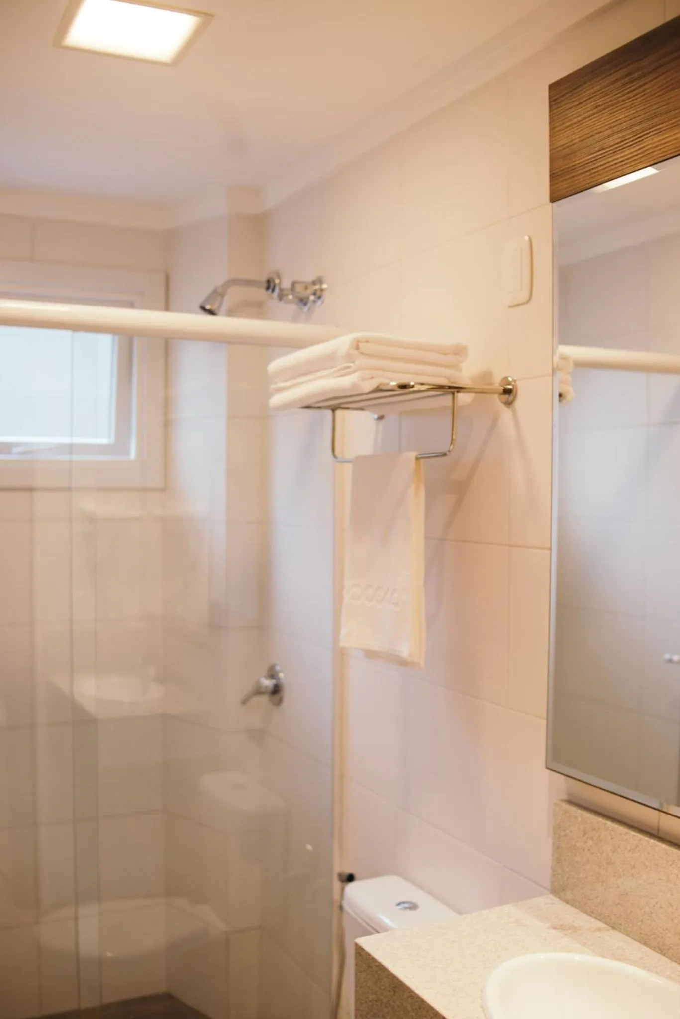 Toilet in Hotel Fioreze Centro